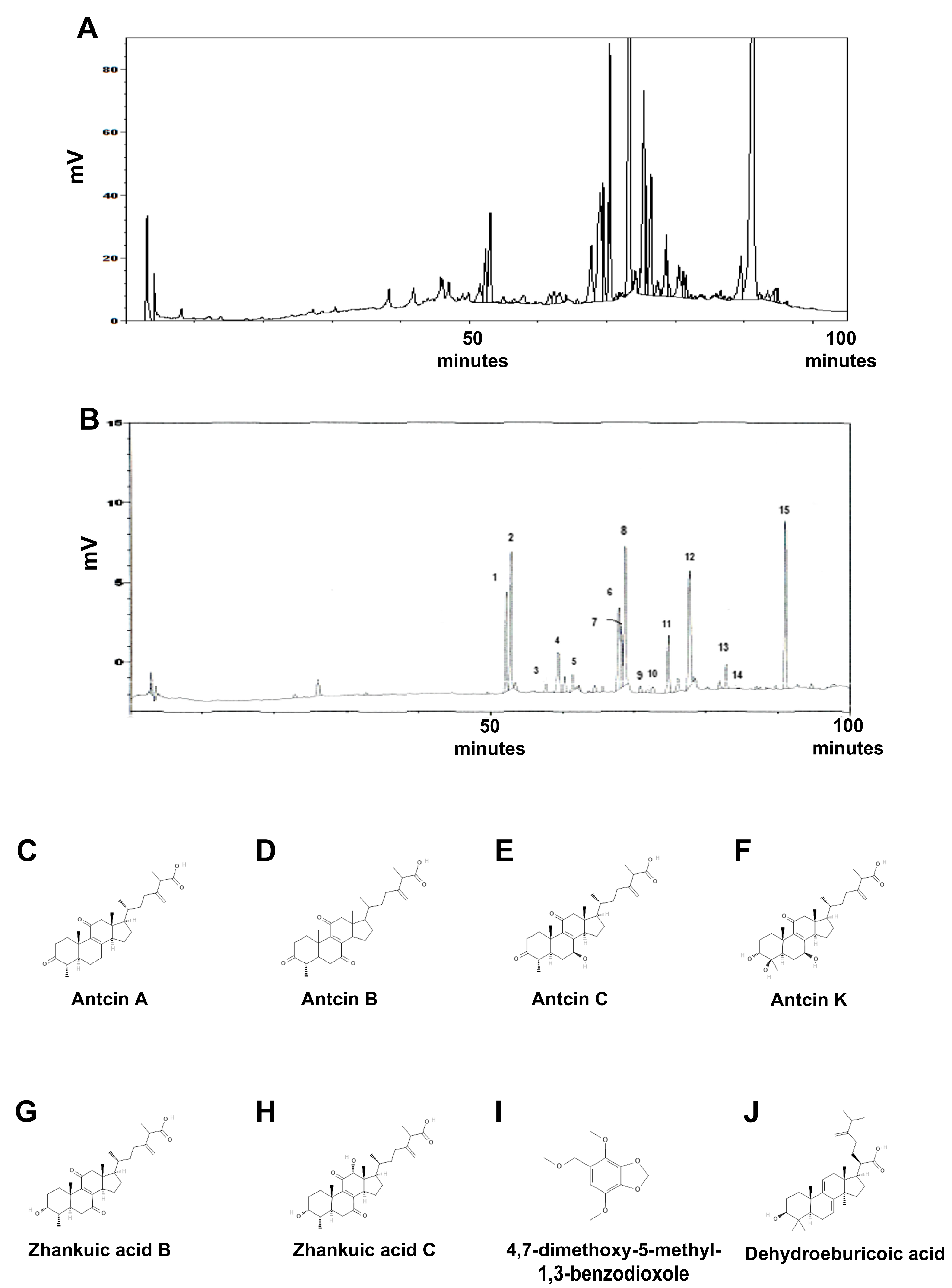 Ijms 26 02684 g001 Ijms 26 02684 g001