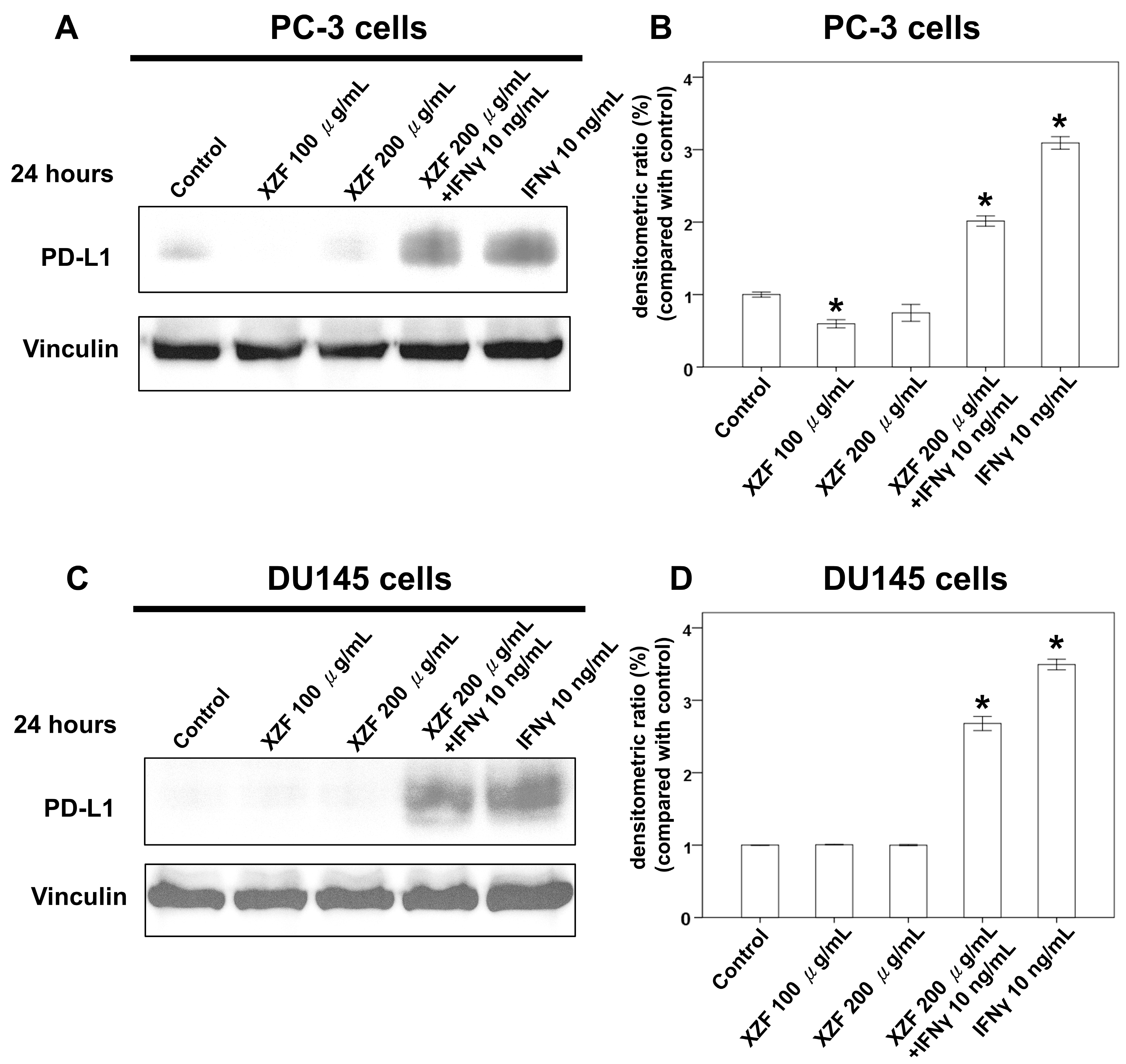 Ijms 26 02684 g005a Ijms 26 02684 g005a