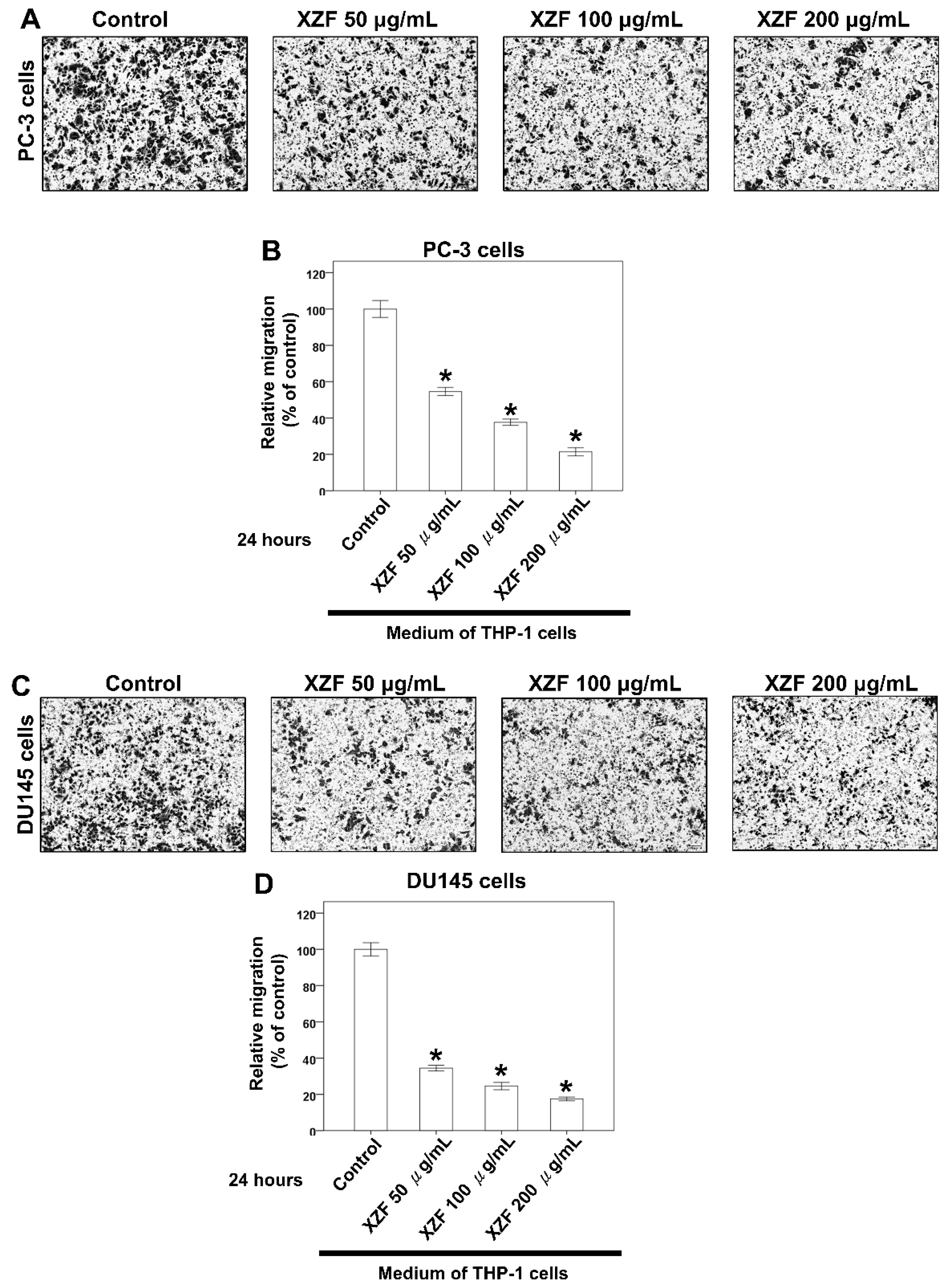 Ijms 26 02684 g009a Ijms 26 02684 g009a