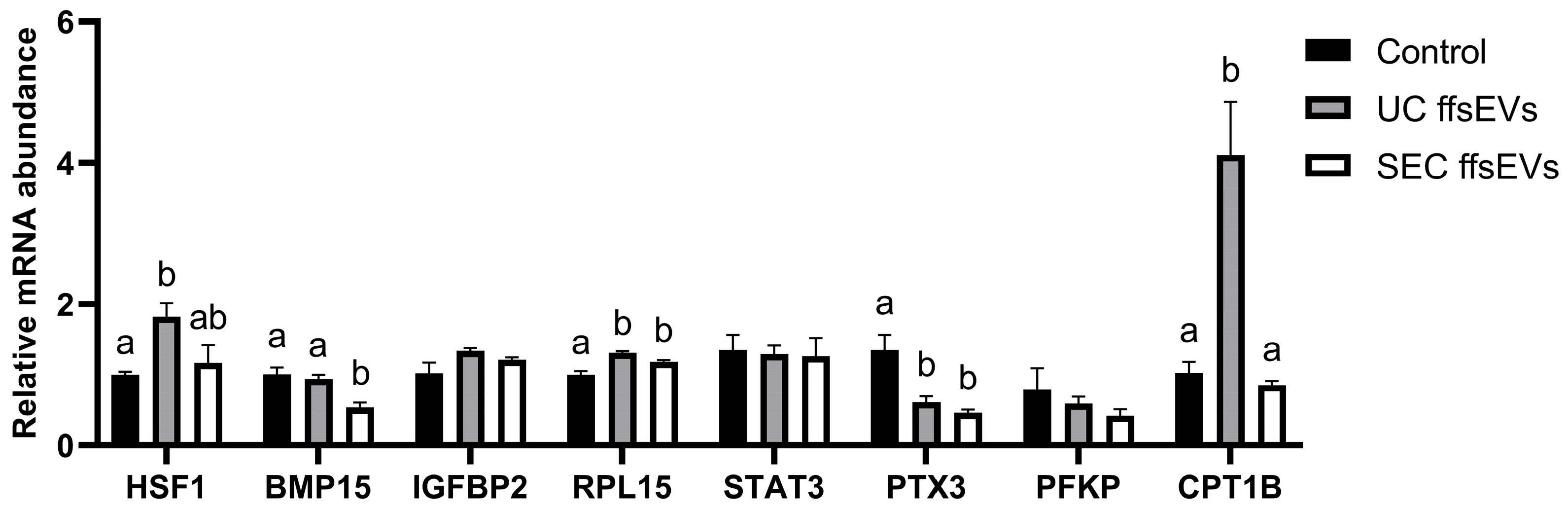 Ijms 26 02880 g004 Ijms 26 02880 g004