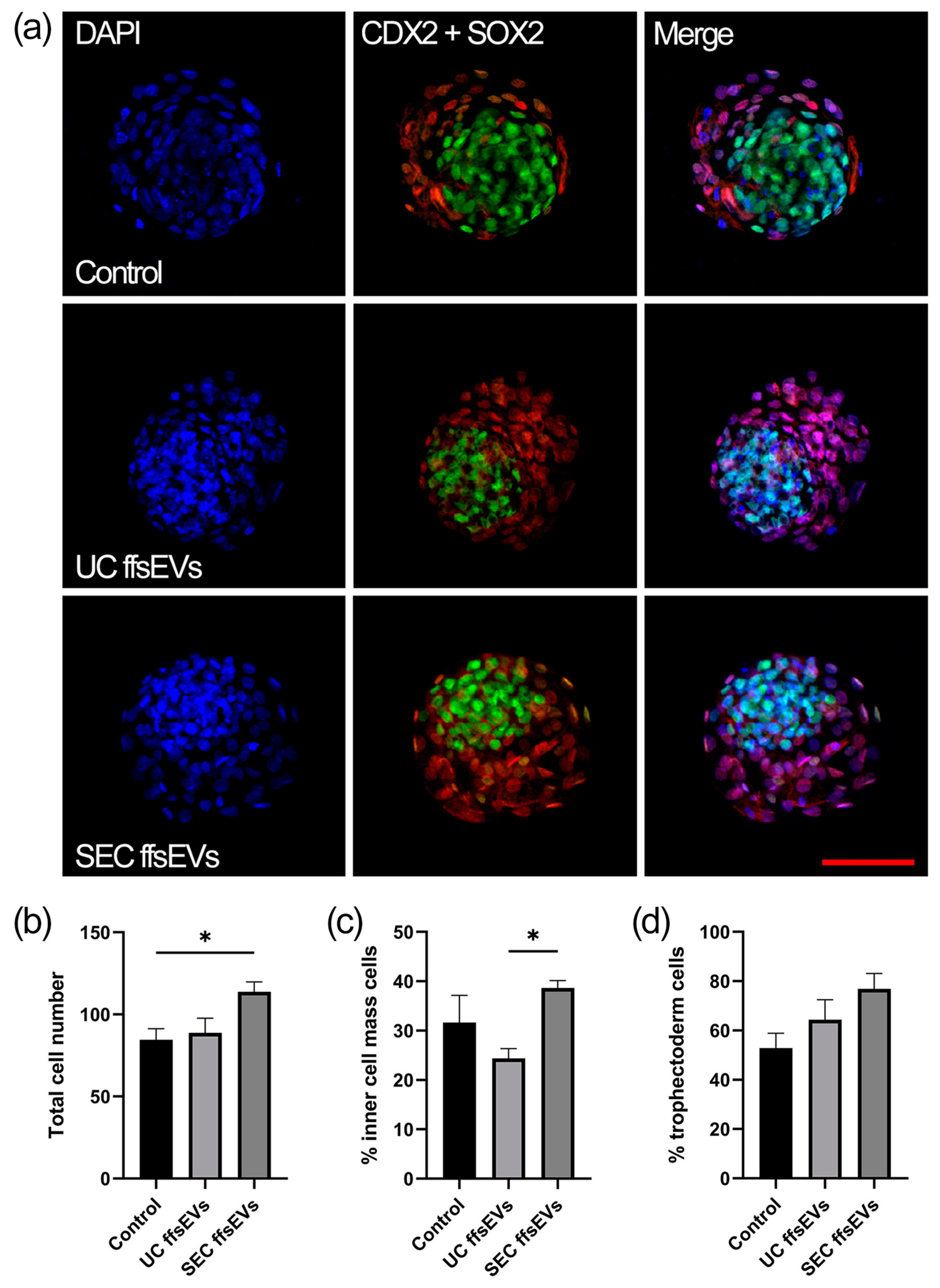 Ijms 26 02880 g005 Ijms 26 02880 g005