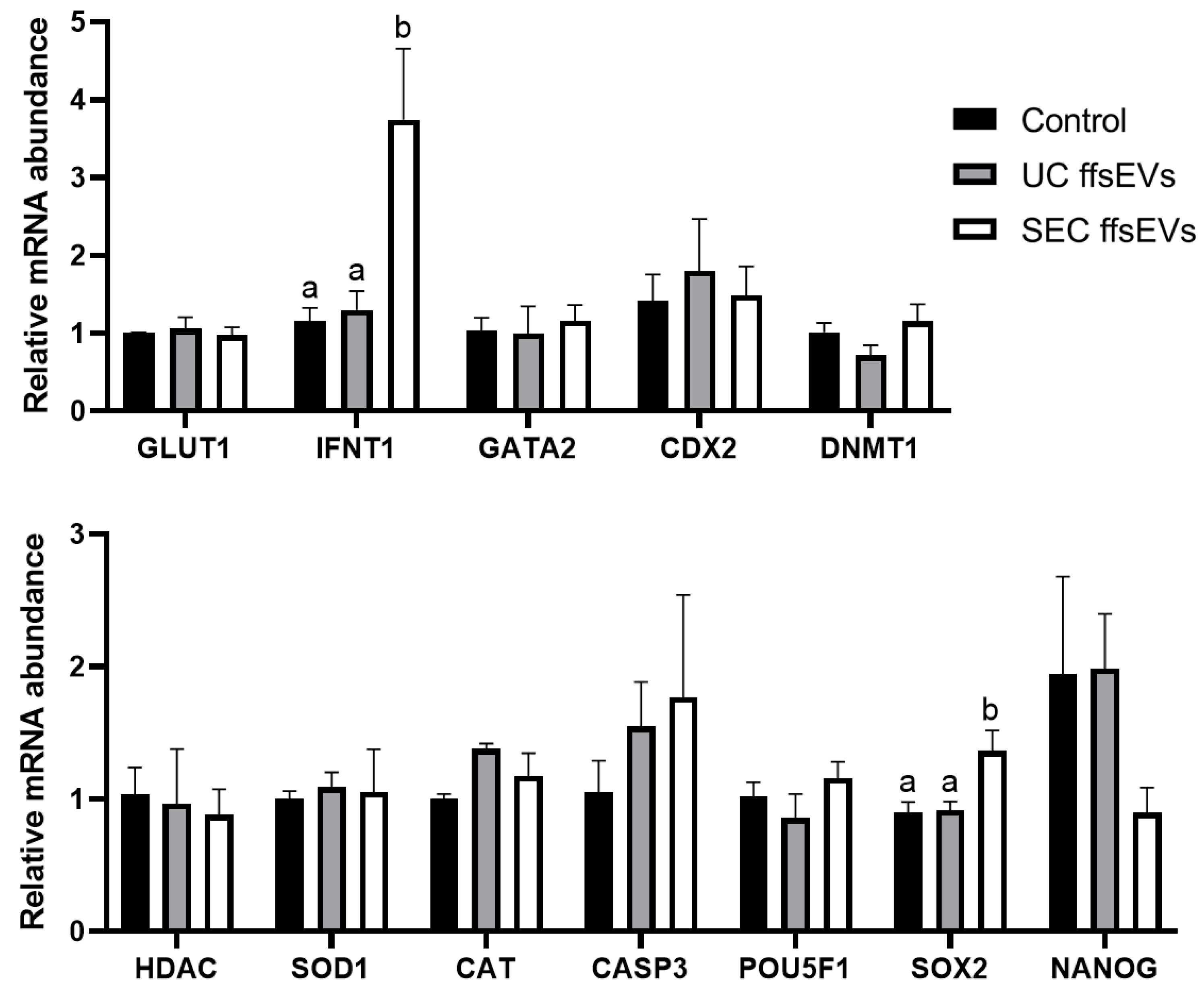 Ijms 26 02880 g006 Ijms 26 02880 g006