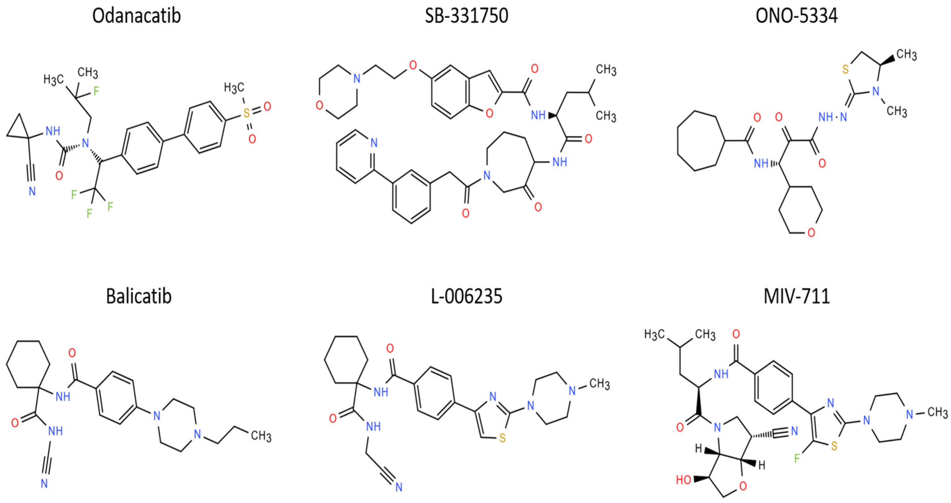 Ijms 26 02896 g003 Ijms 26 02896 g003
