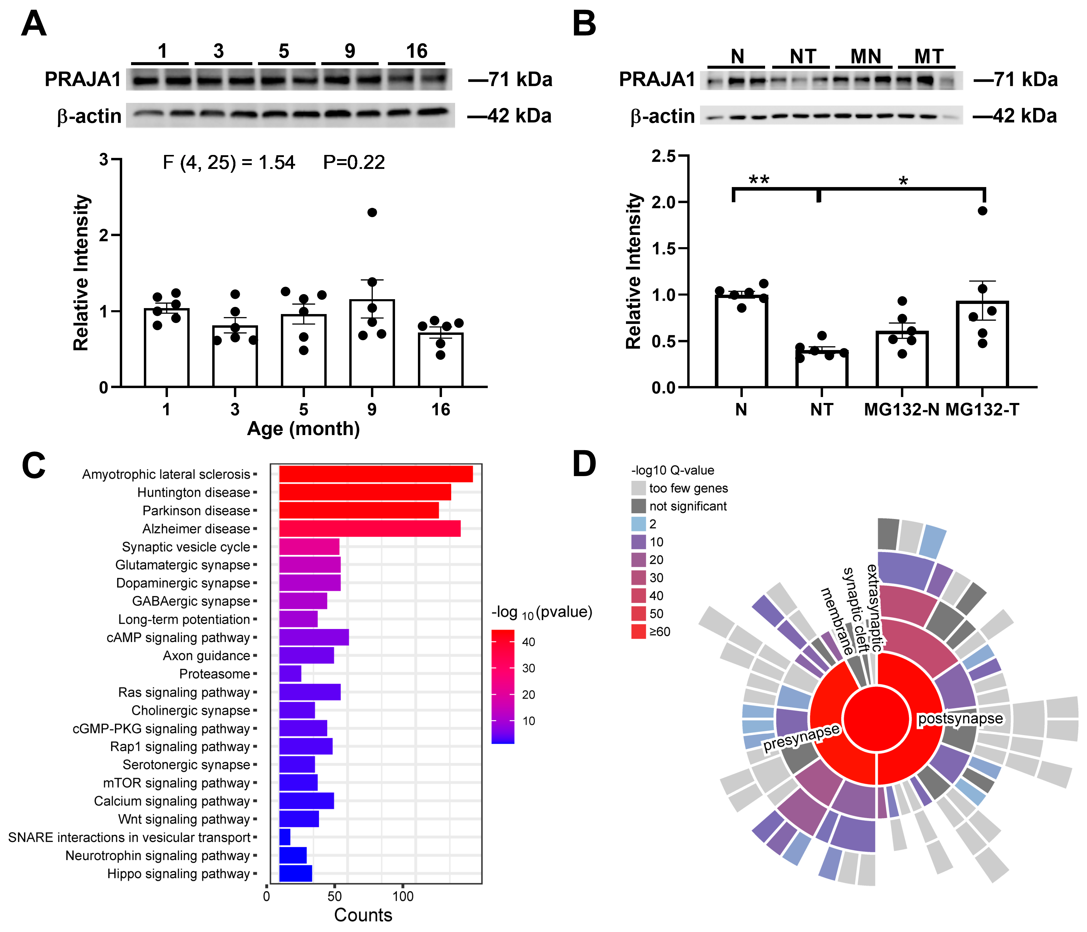 Ijms 26 02909 g001 Ijms 26 02909 g001