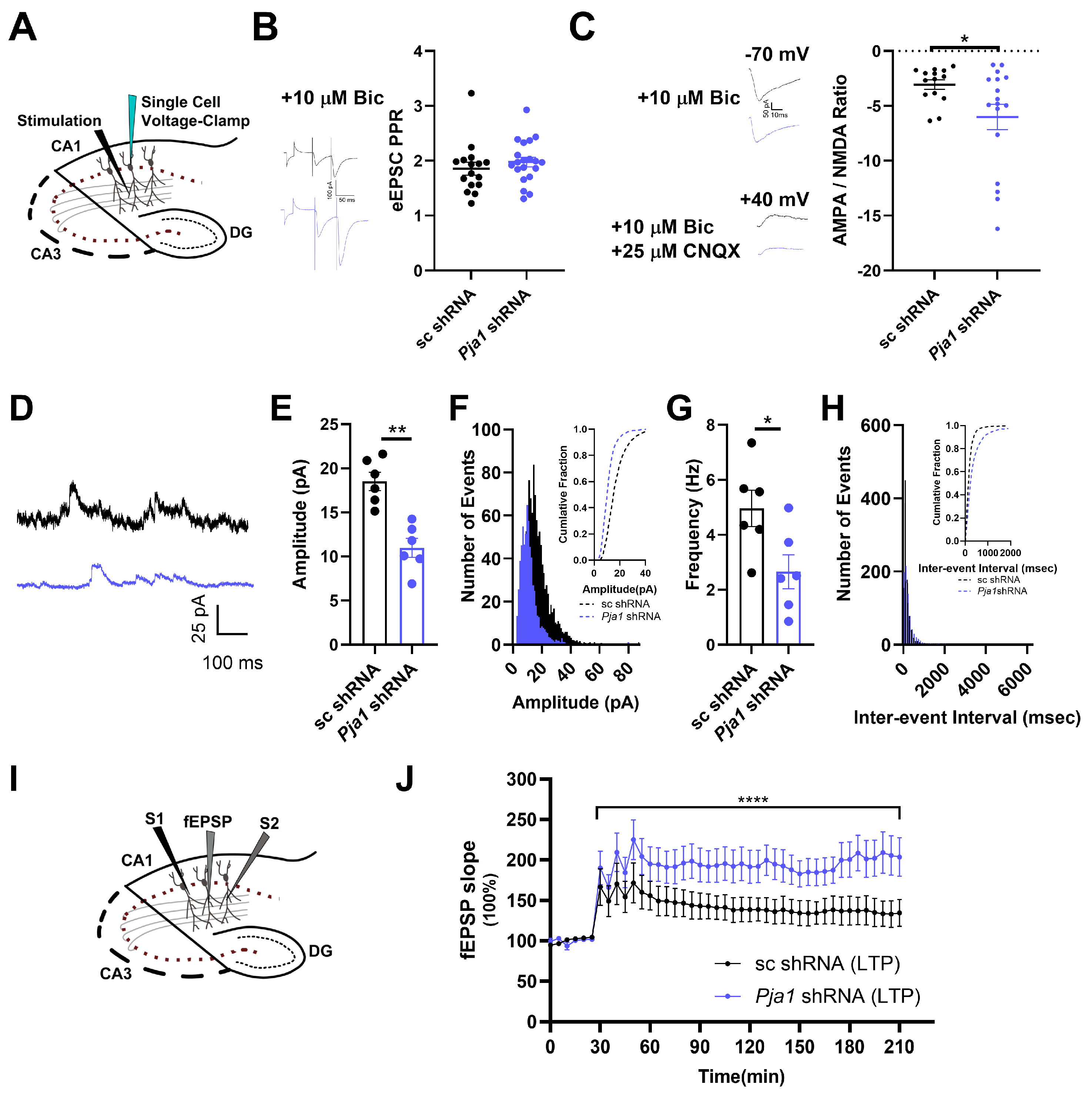 Ijms 26 02909 g003 Ijms 26 02909 g003