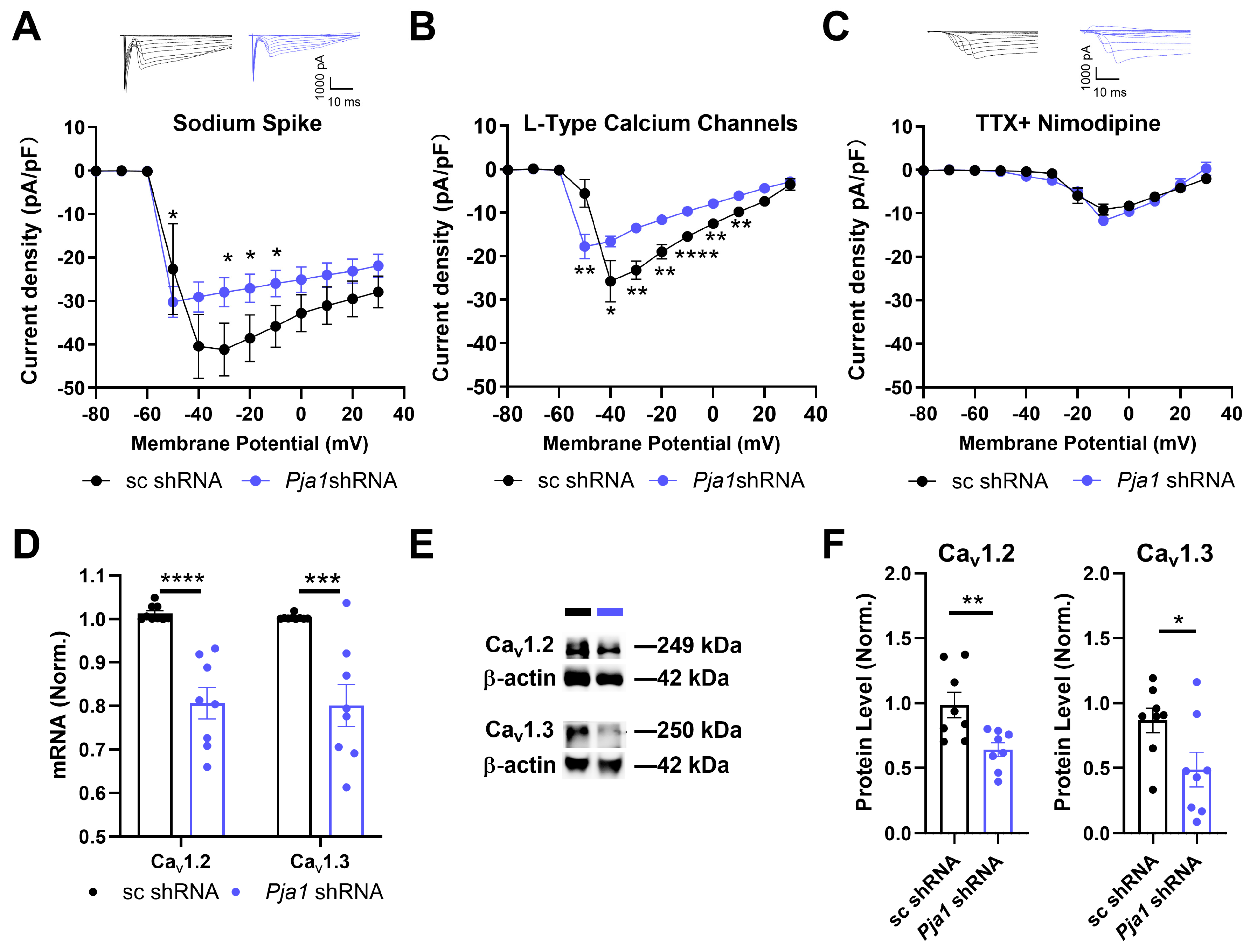 Ijms 26 02909 g004 Ijms 26 02909 g004