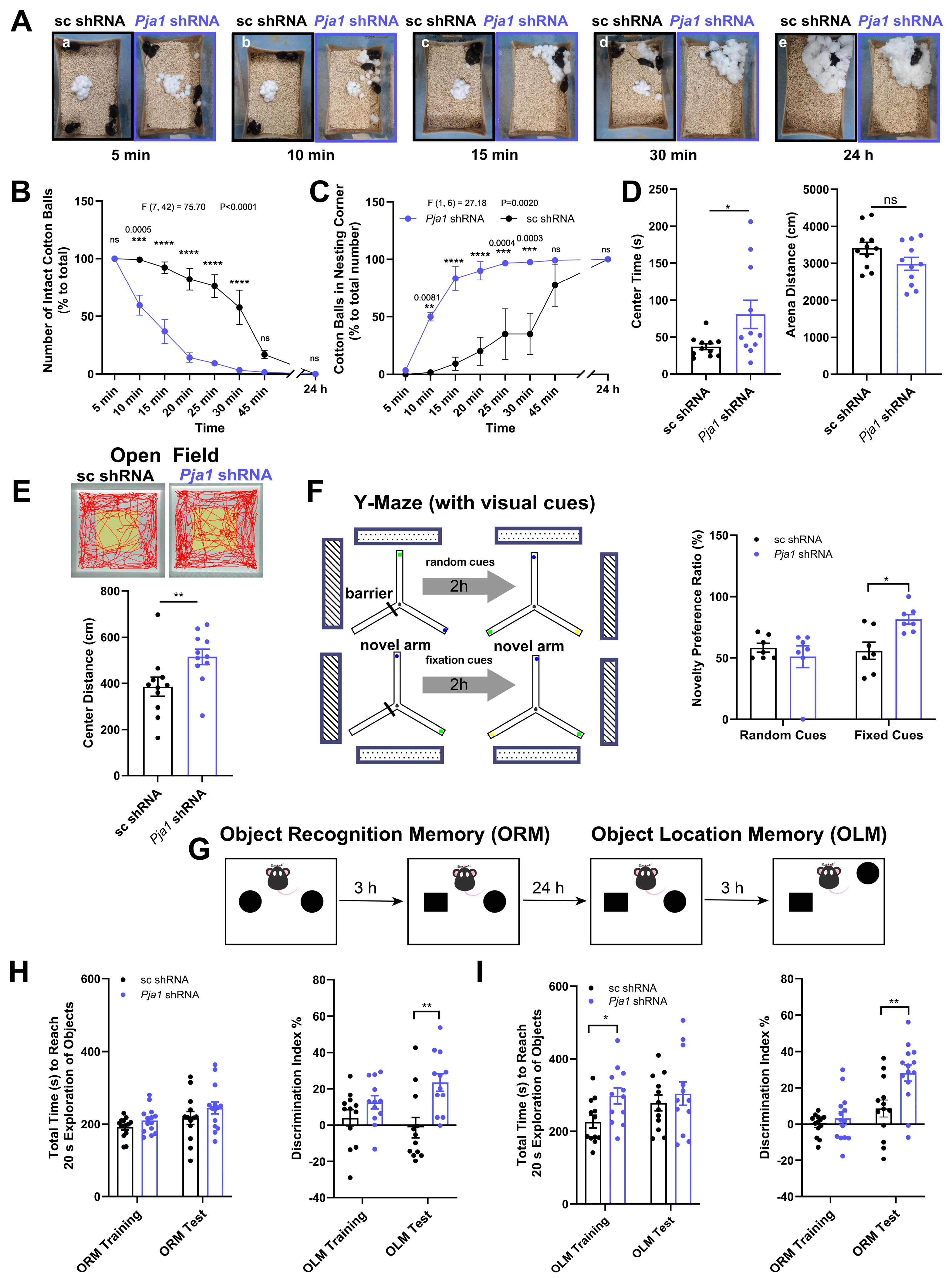 Ijms 26 02909 g005 Ijms 26 02909 g005