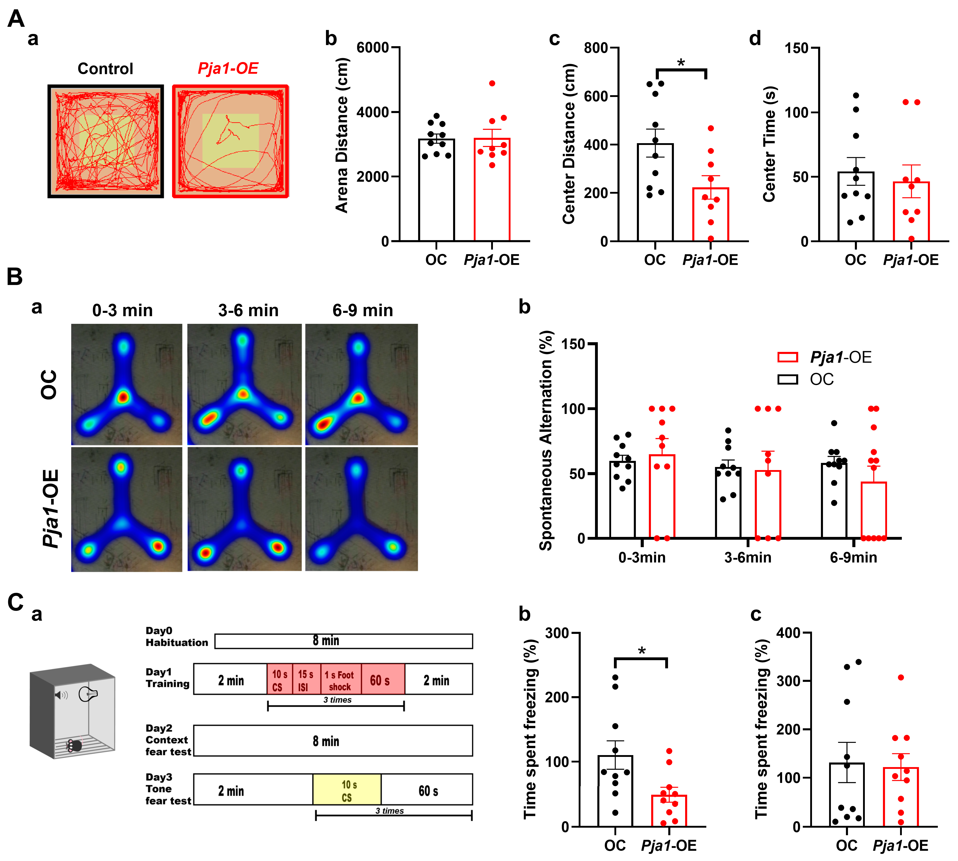 Ijms 26 02909 g007 Ijms 26 02909 g007