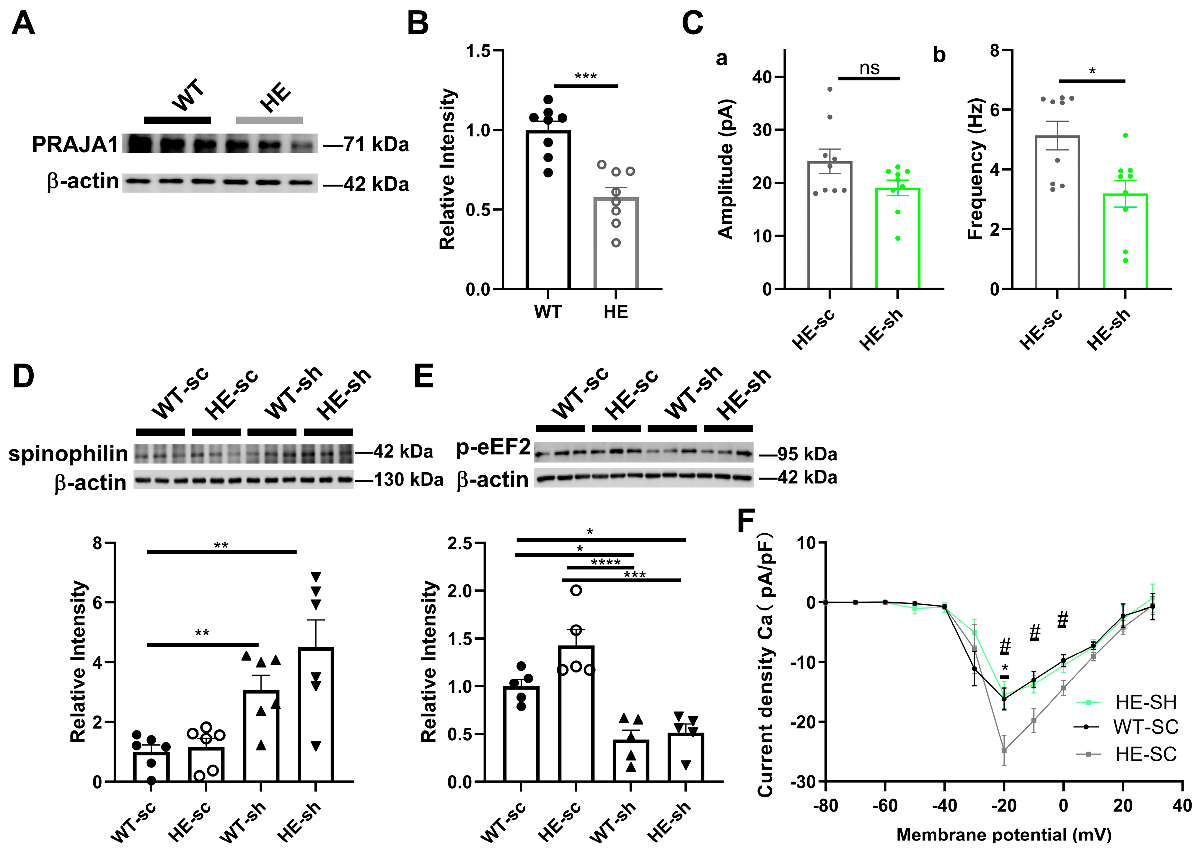Ijms 26 02909 g008 Ijms 26 02909 g008