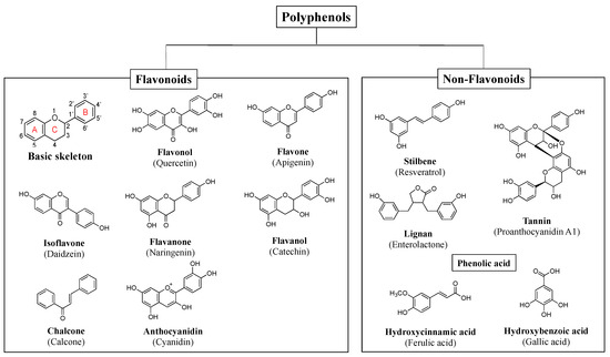 Phytochemicals Modulate Biosynthesis and Function of