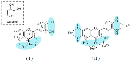Phytochemicals Modulate Biosynthesis and Function of