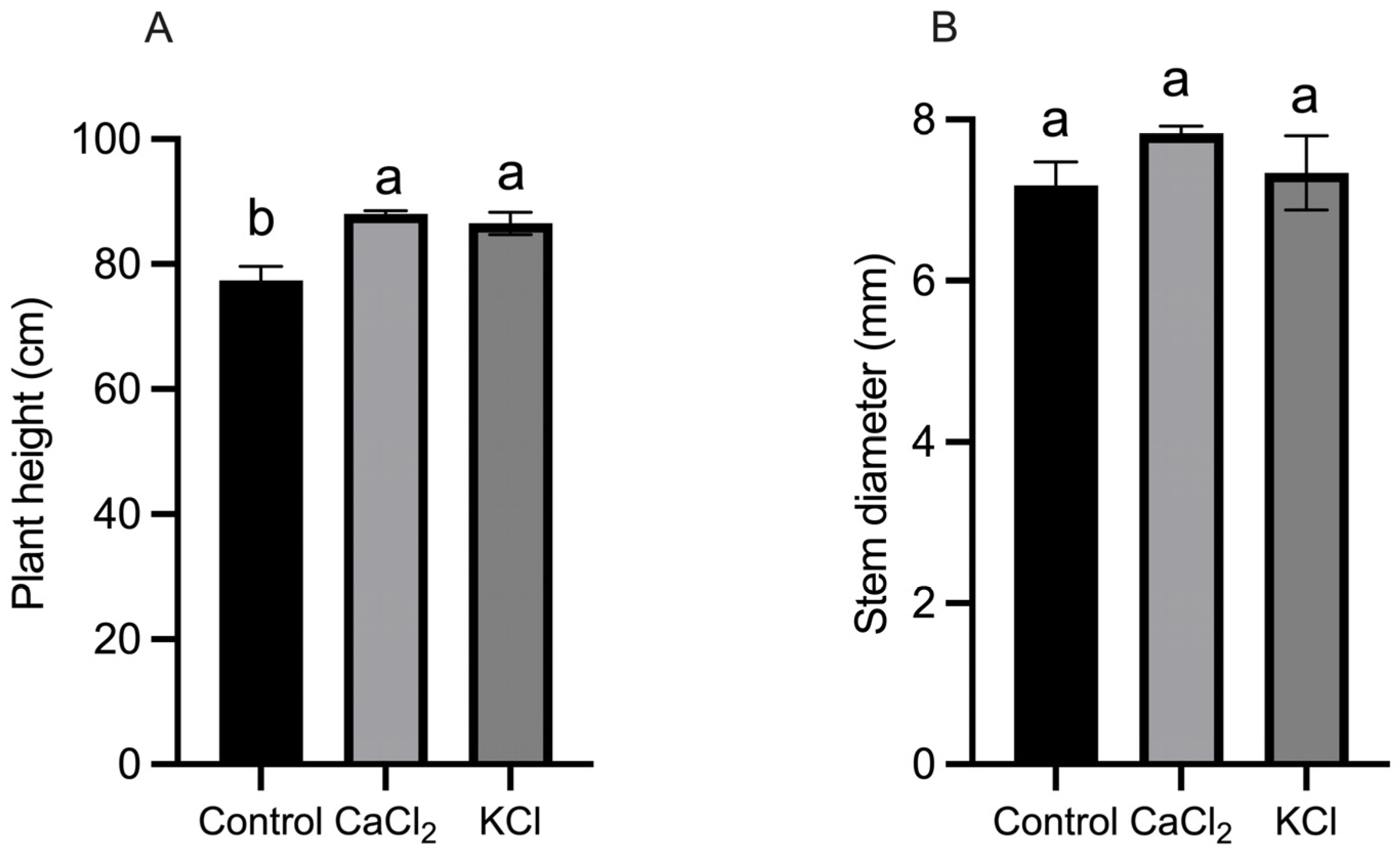 Ijms 26 02922 g001 Ijms 26 02922 g001