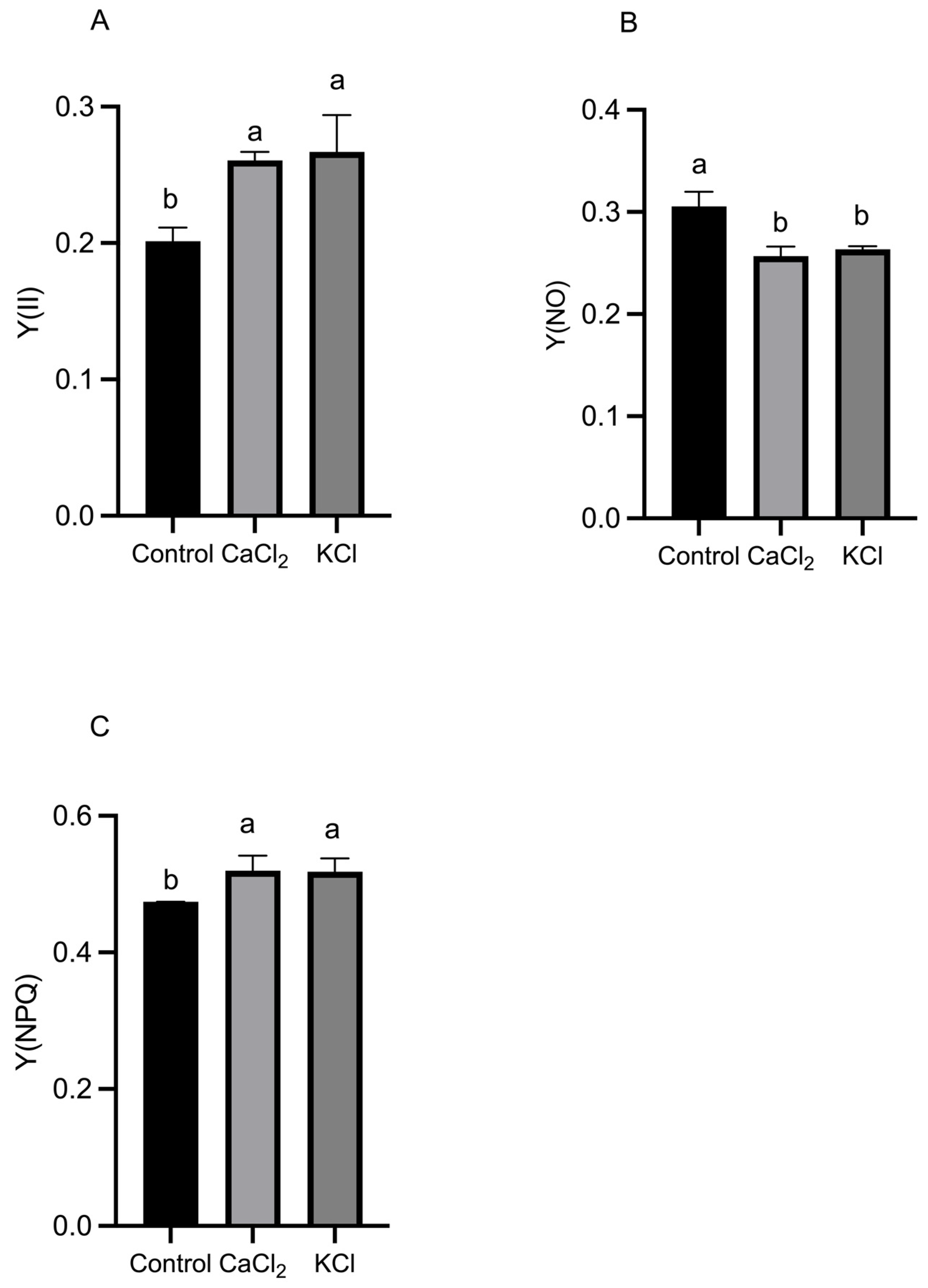 Ijms 26 02922 g004 Ijms 26 02922 g004