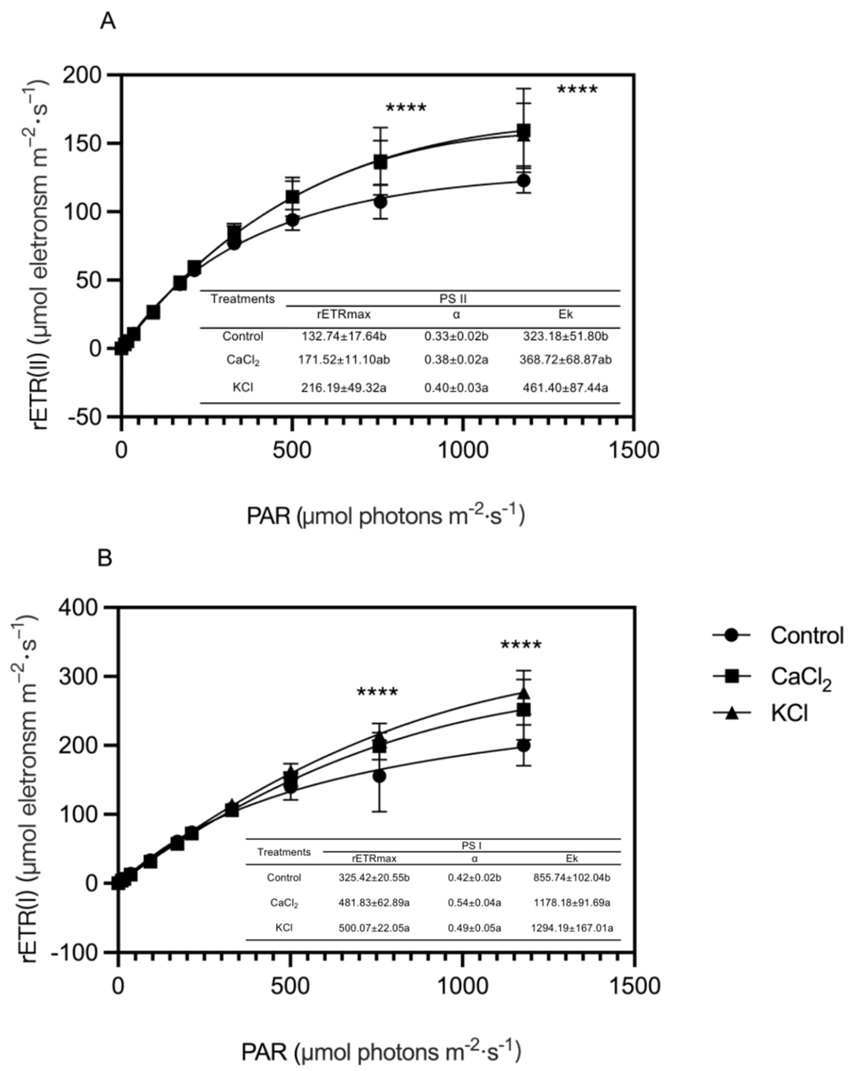 Ijms 26 02922 g006 Ijms 26 02922 g006