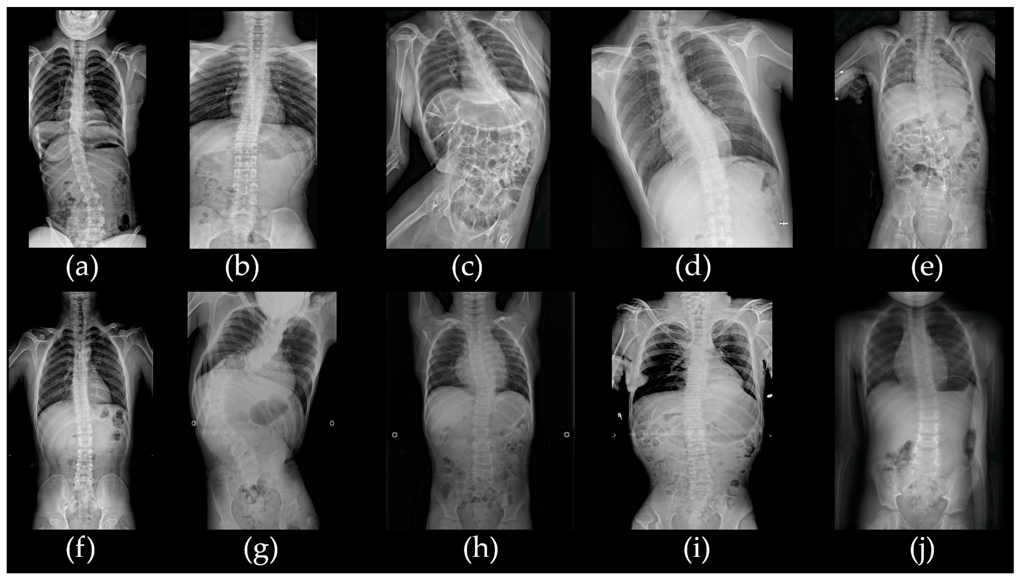 Ijms 26 02929 g001 Ijms 26 02929 g001