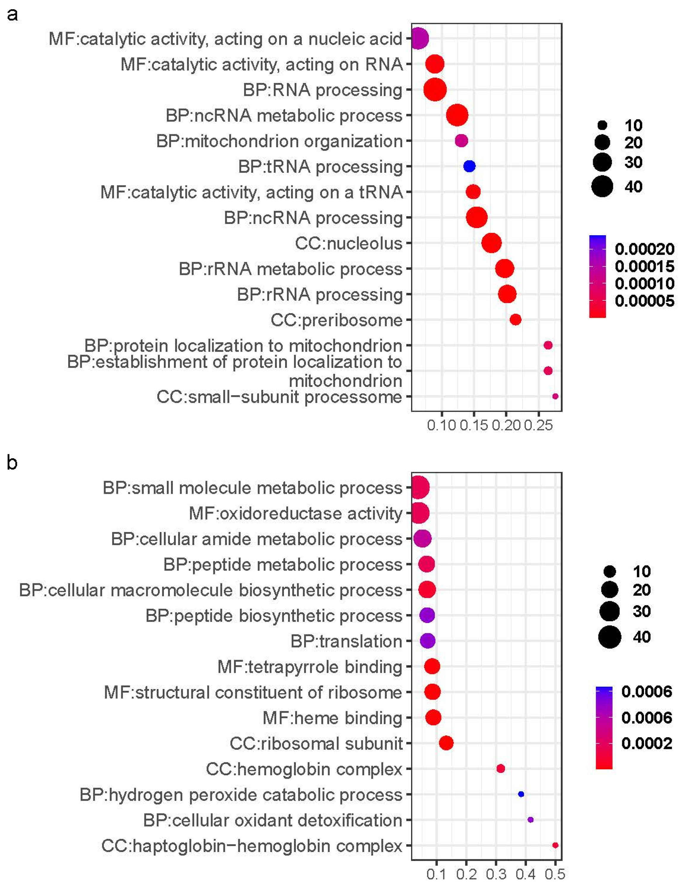Ijms 26 02930 g004 Ijms 26 02930 g004