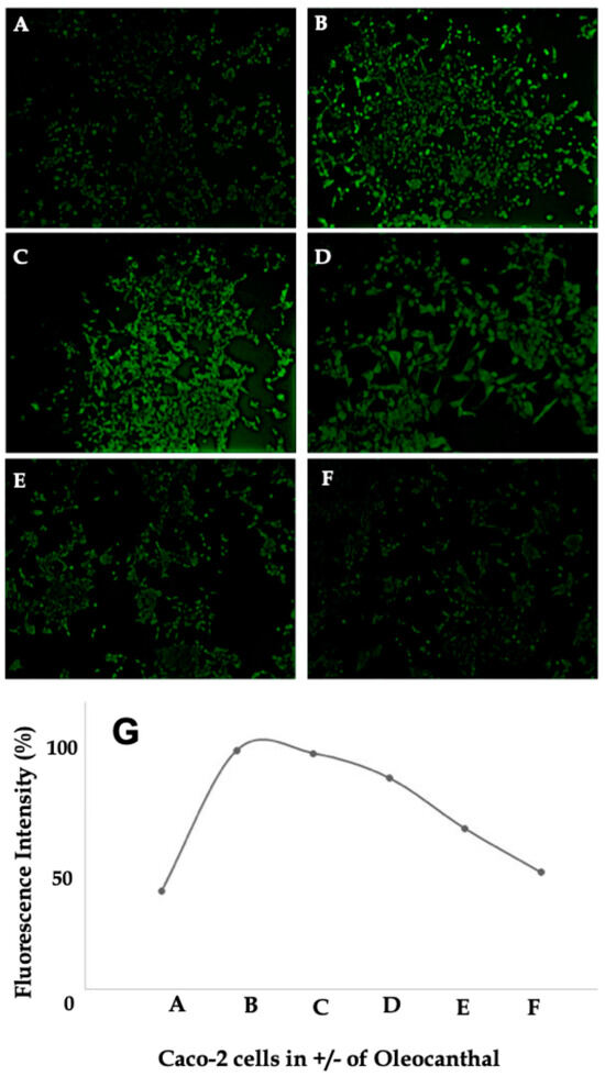 ay様　リクエスト How to Spot Scams, Fraud or Phishing – Customer Care