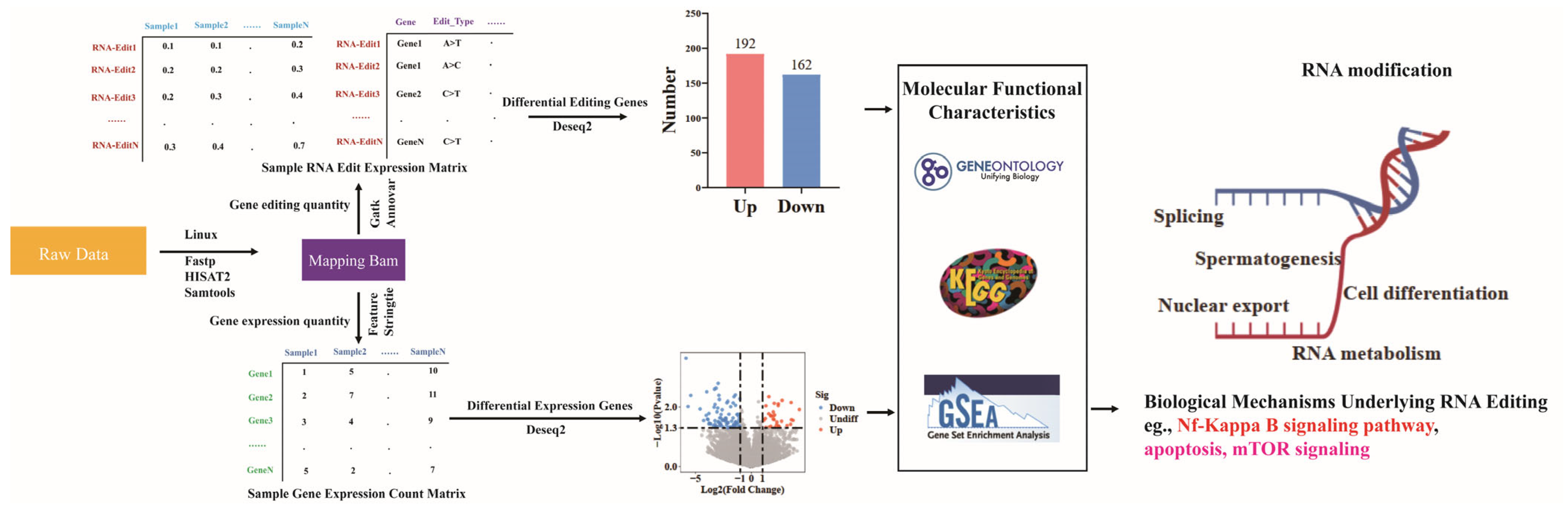Ijms 26 02941 sch001