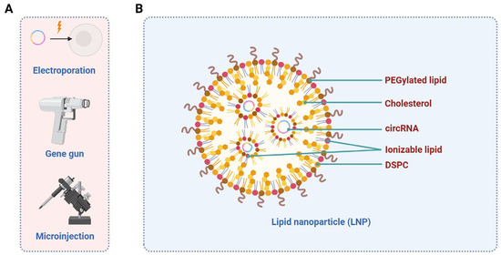 &TEAM サイン The Application of Non-Coding RNAs as Biomarkers, Therapies