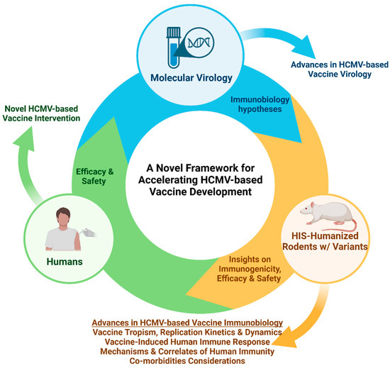 Can Humanized Immune System Mouse and Rat Models Accelerate the ...