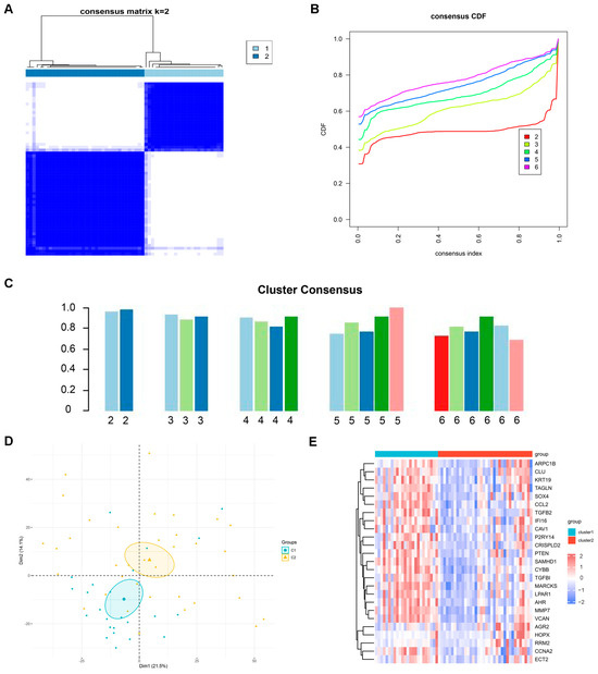 PTEN: A Novel Diabetes Nephropathy Protective Gene Related