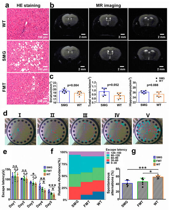 Molecular Mechanism of Microgravity-Induced Intestinal Flora
