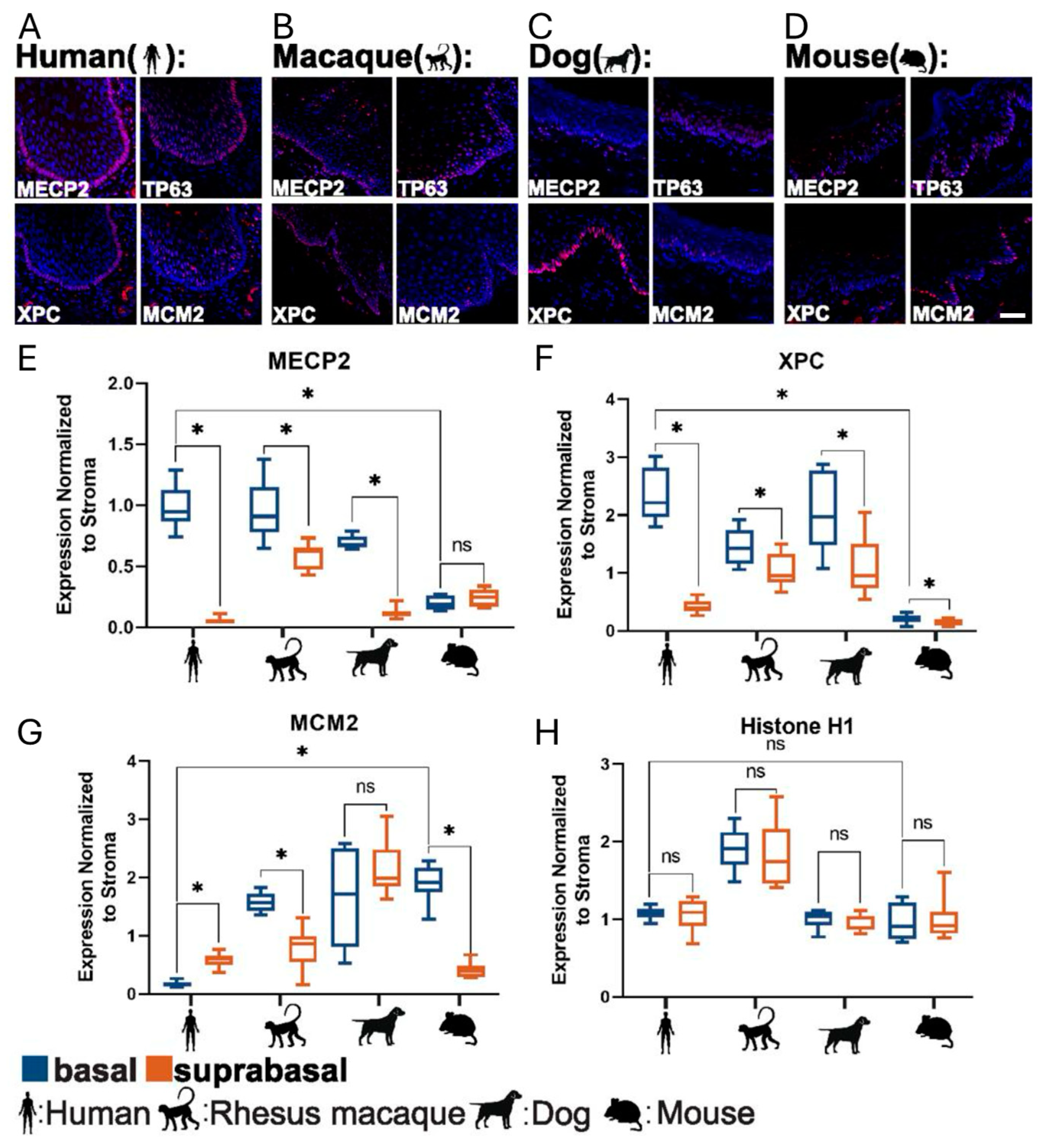 Ijms 26 03144 g001 Ijms 26 03144 g001
