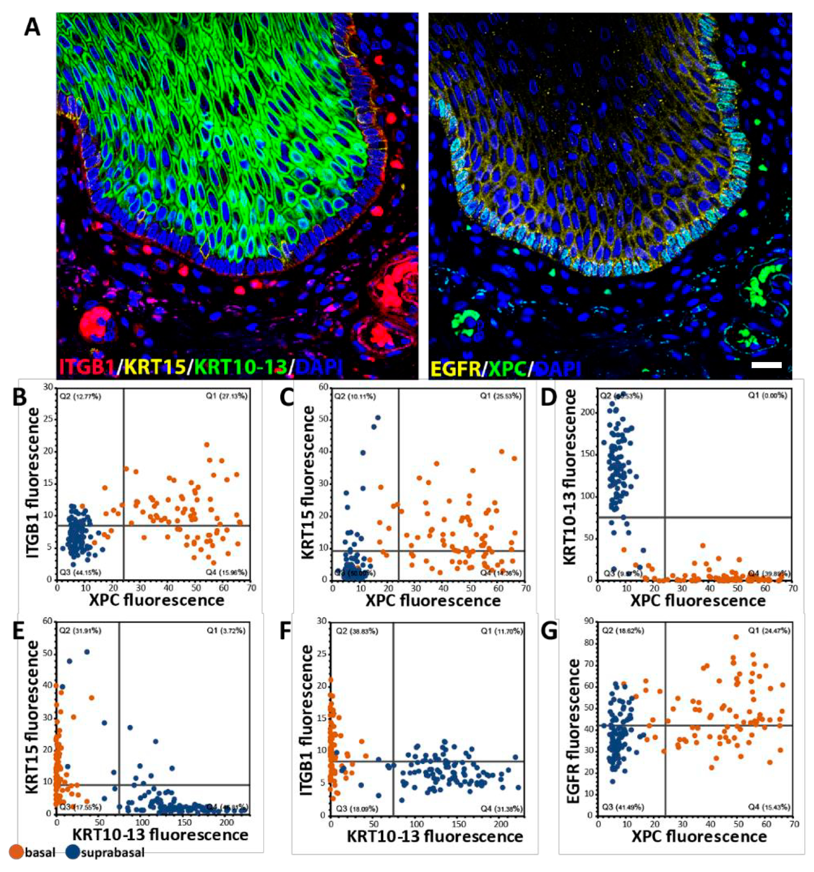 Ijms 26 03144 g002 Ijms 26 03144 g002