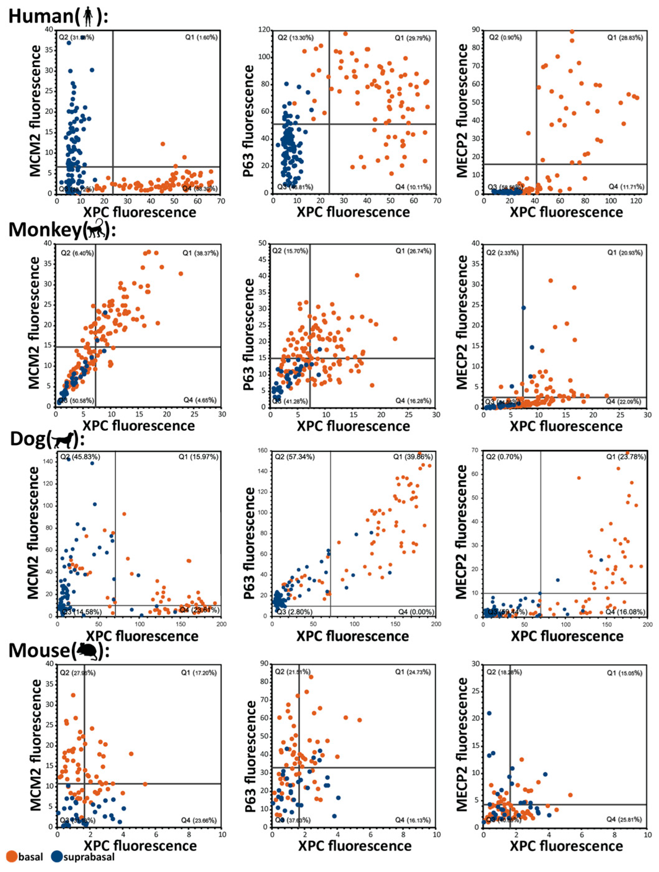 Ijms 26 03144 g004 Ijms 26 03144 g004