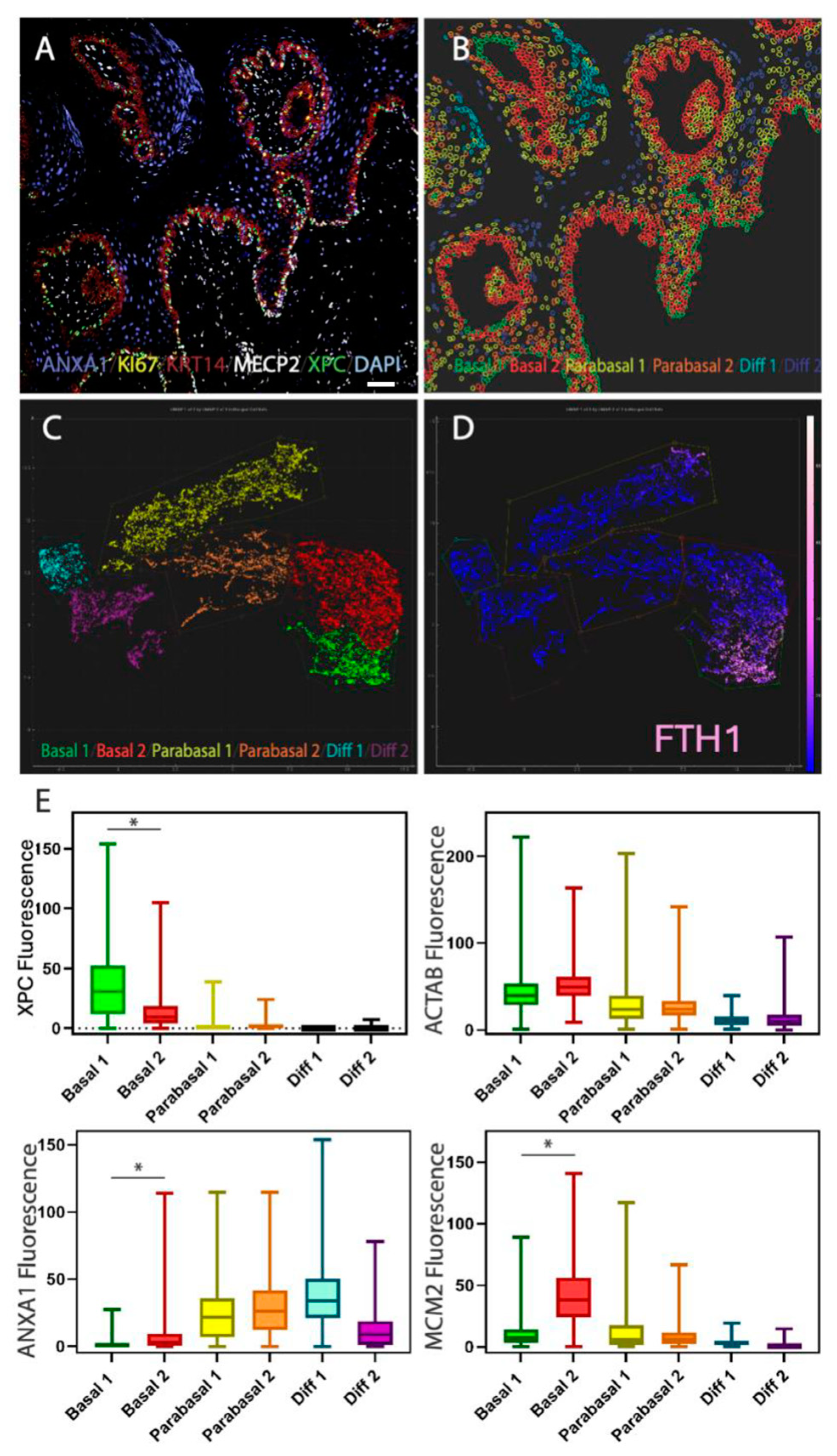 Ijms 26 03144 g005 Ijms 26 03144 g005
