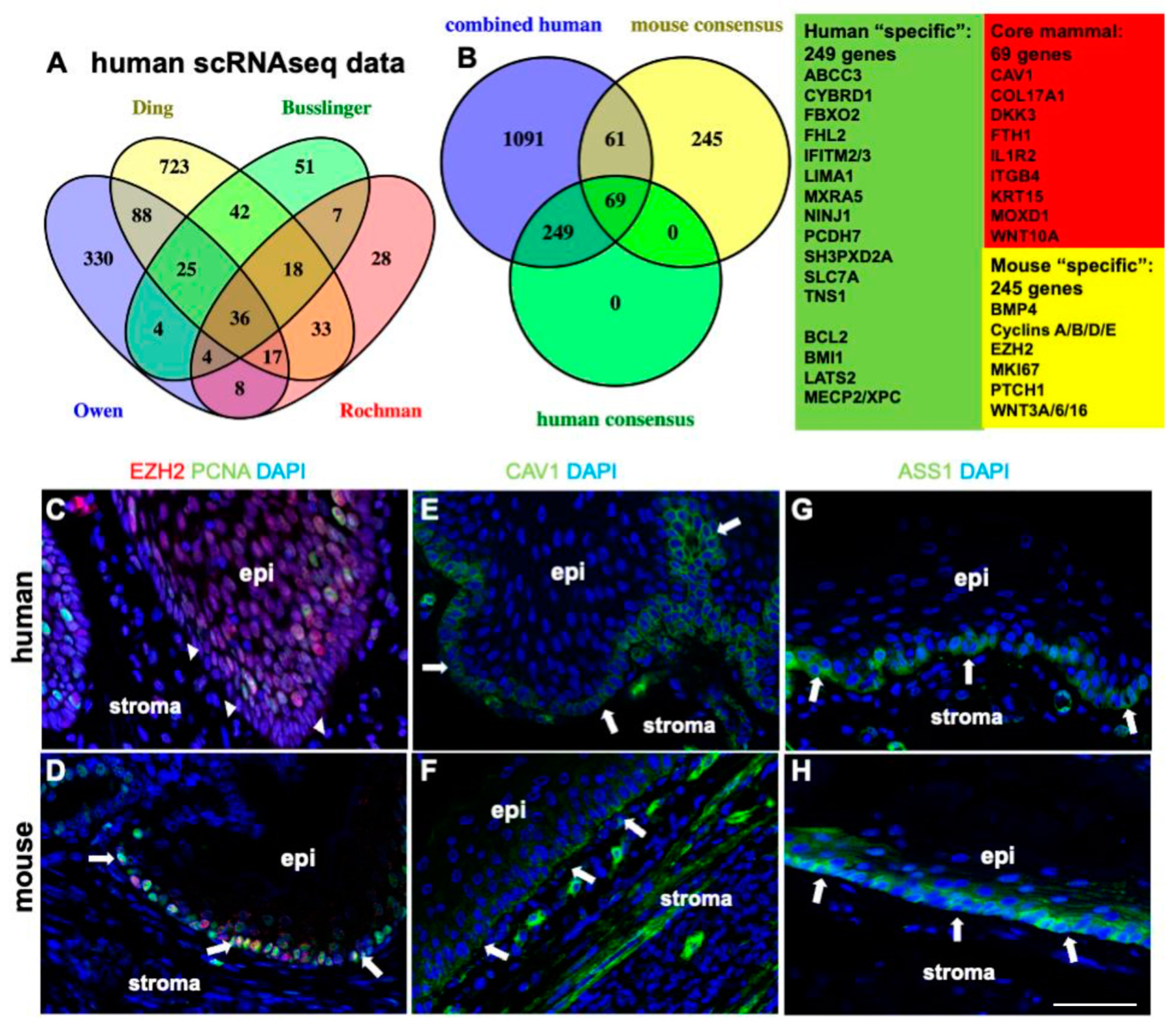 Ijms 26 03144 g006 Ijms 26 03144 g006
