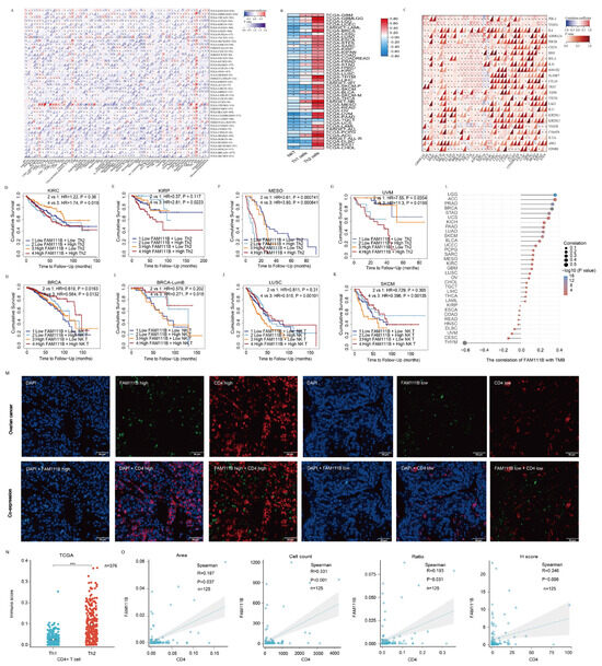 Unveiling FAM111B: A Pan-Cancer Biomarker for DNA Repair and