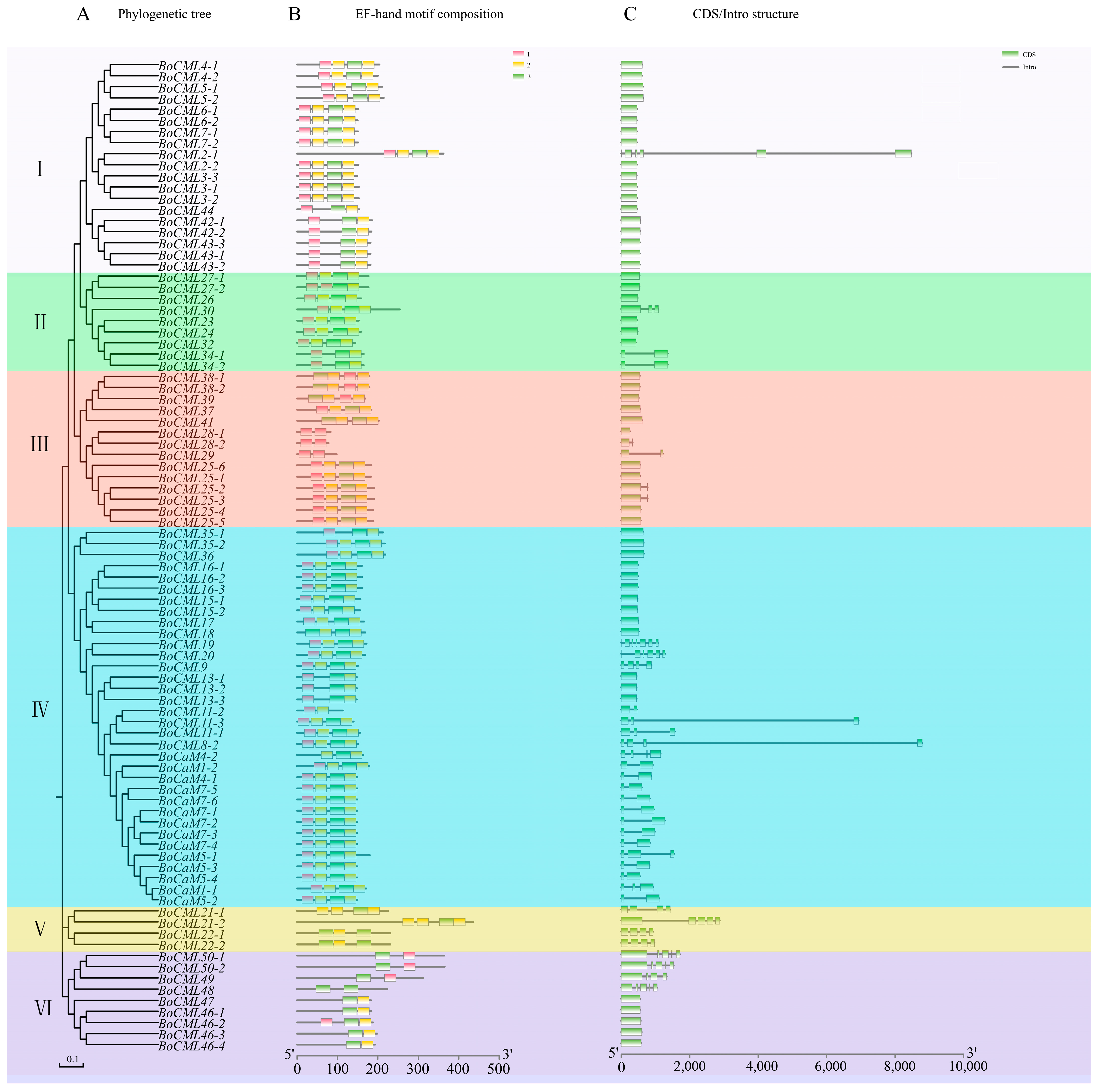 Ijms 26 03208 g001 Ijms 26 03208 g001