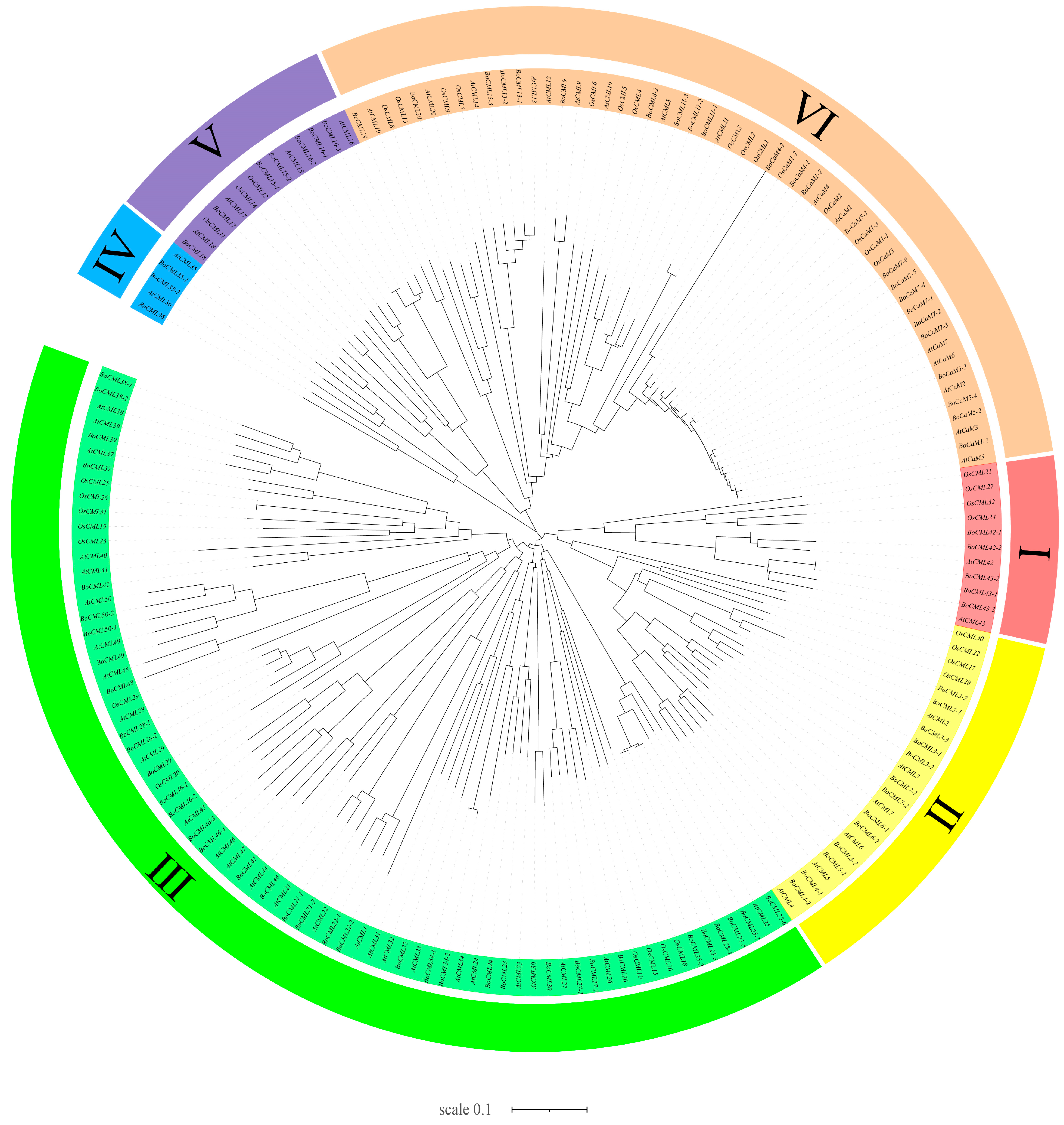 Ijms 26 03208 g002 Ijms 26 03208 g002
