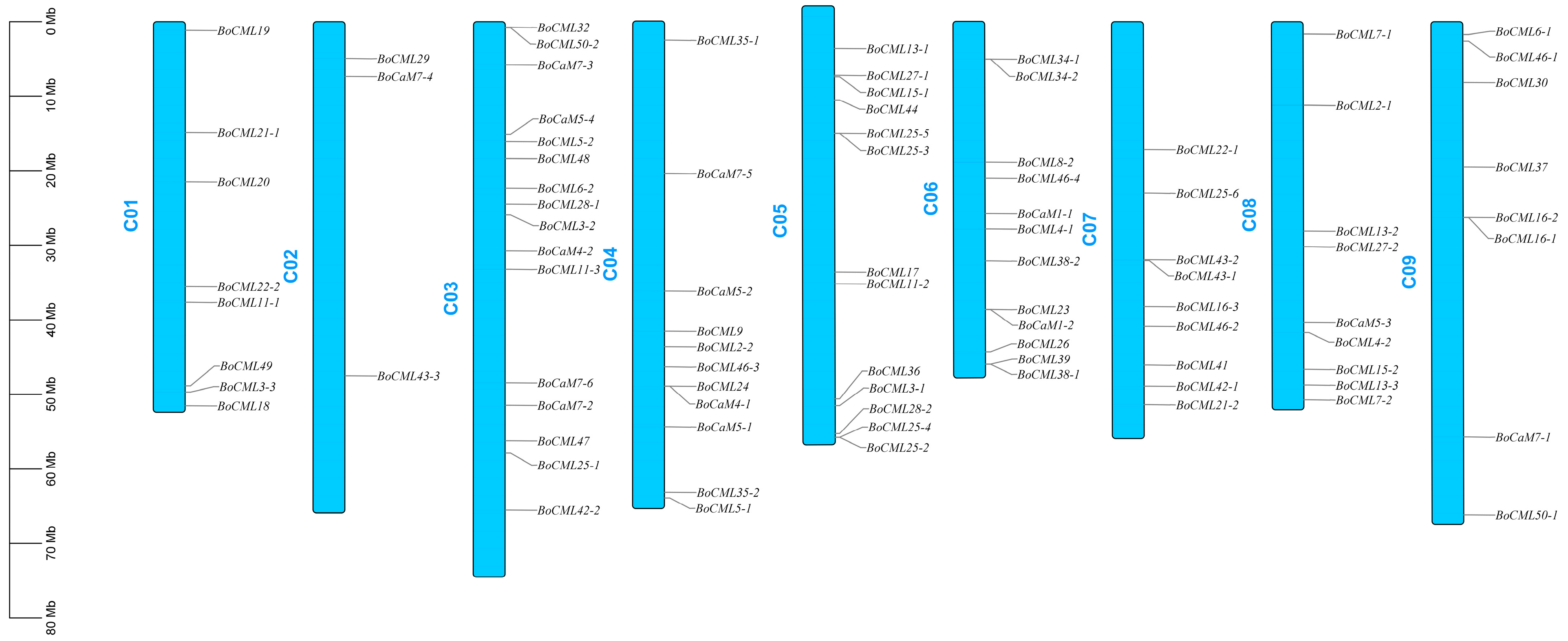 Ijms 26 03208 g003 Ijms 26 03208 g003