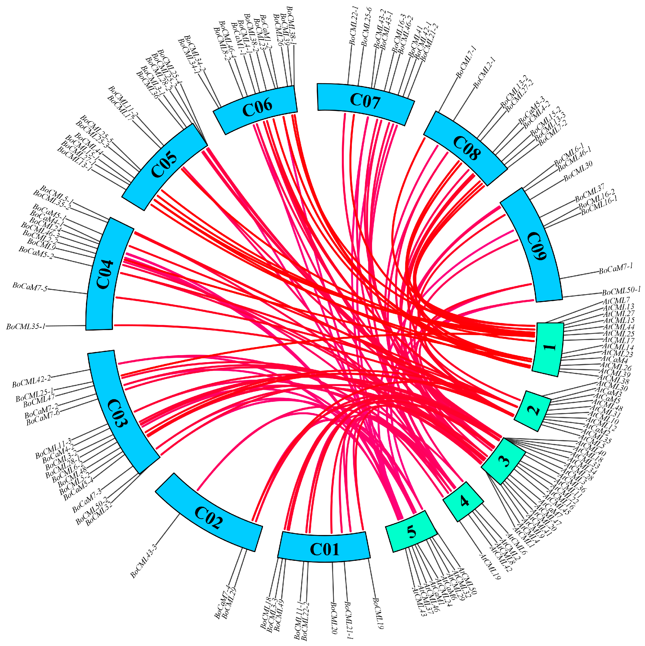 Ijms 26 03208 g004 Ijms 26 03208 g004