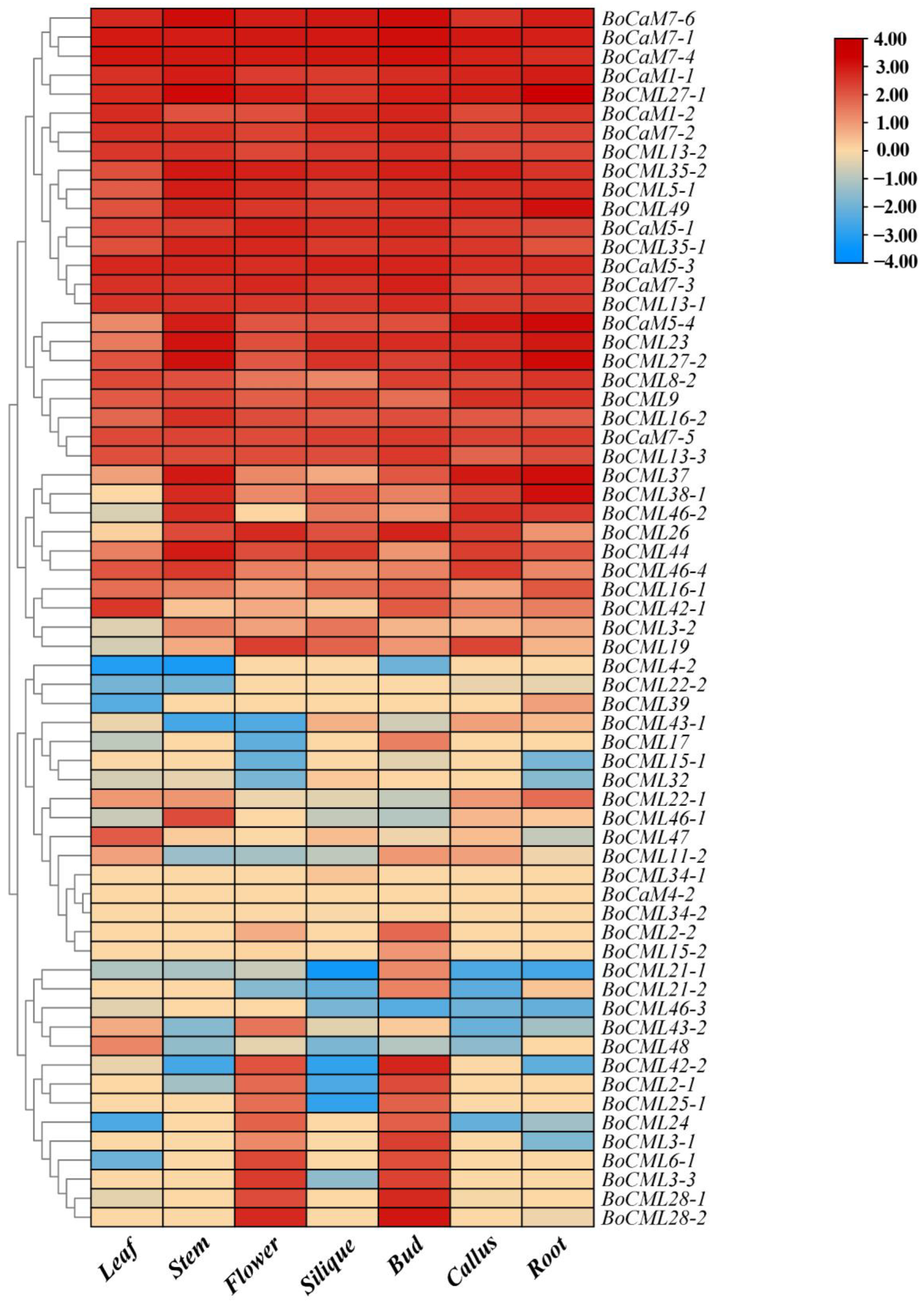 Ijms 26 03208 g005 Ijms 26 03208 g005