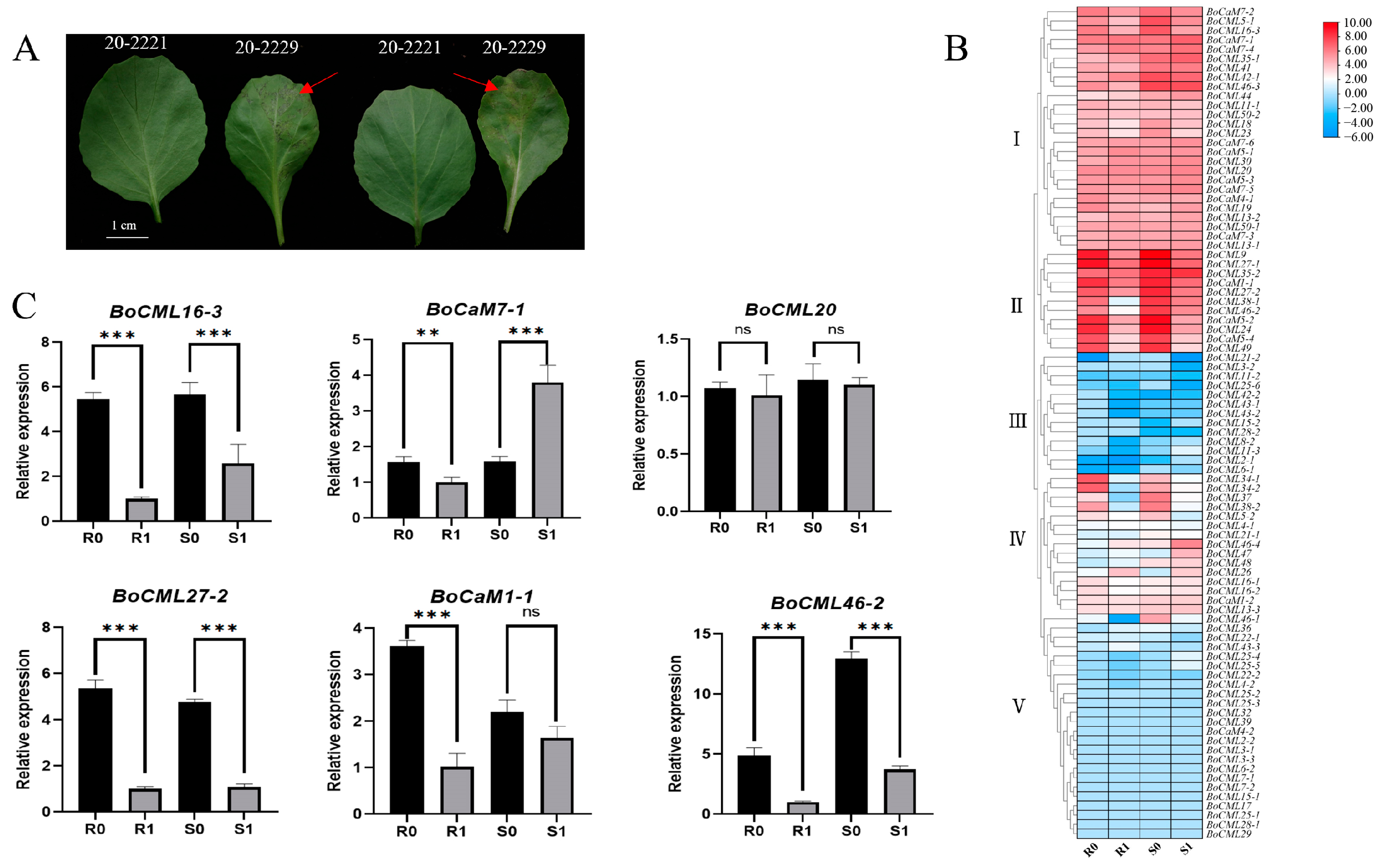 Ijms 26 03208 g006 Ijms 26 03208 g006
