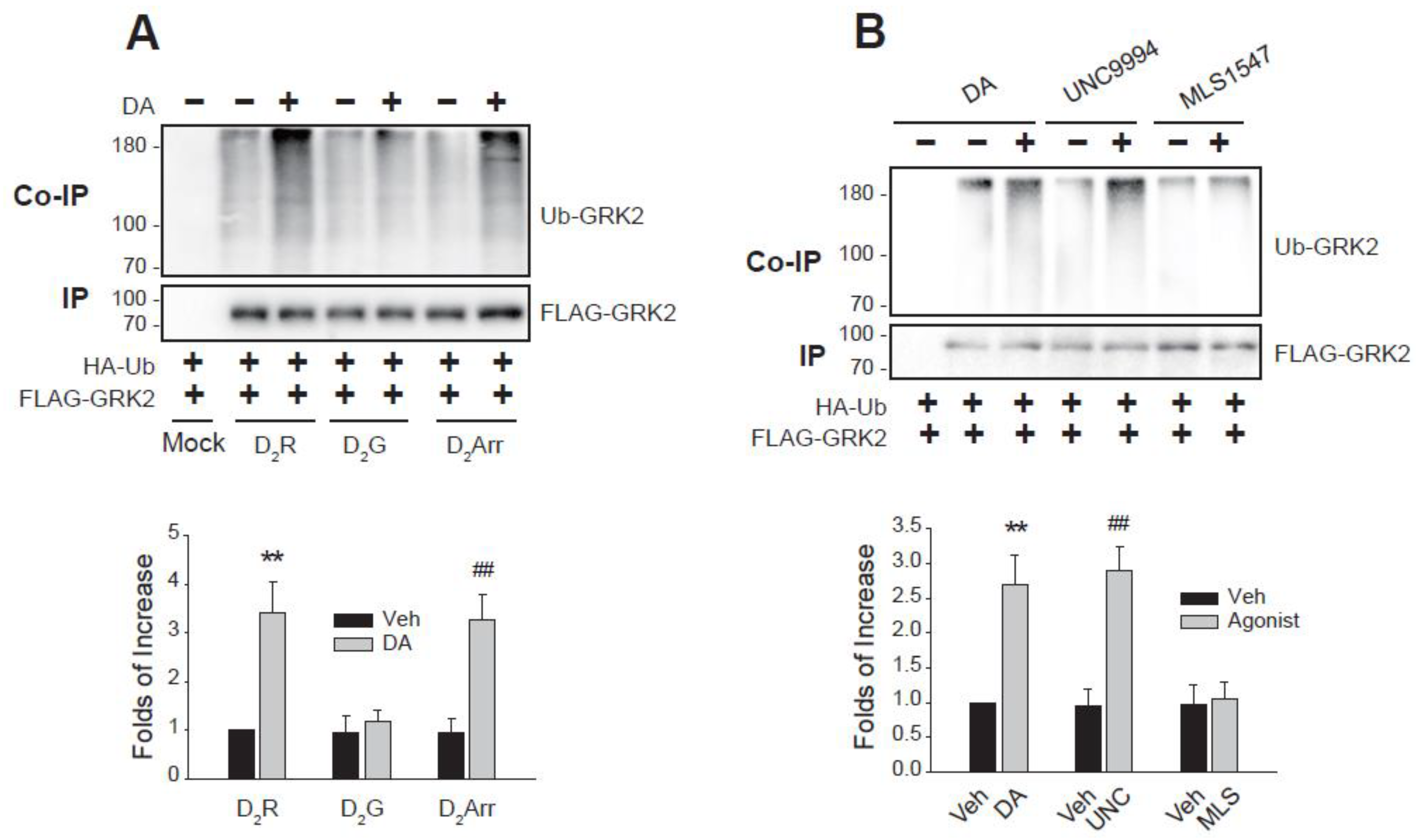 Ijms 26 03238 g002 Ijms 26 03238 g002
