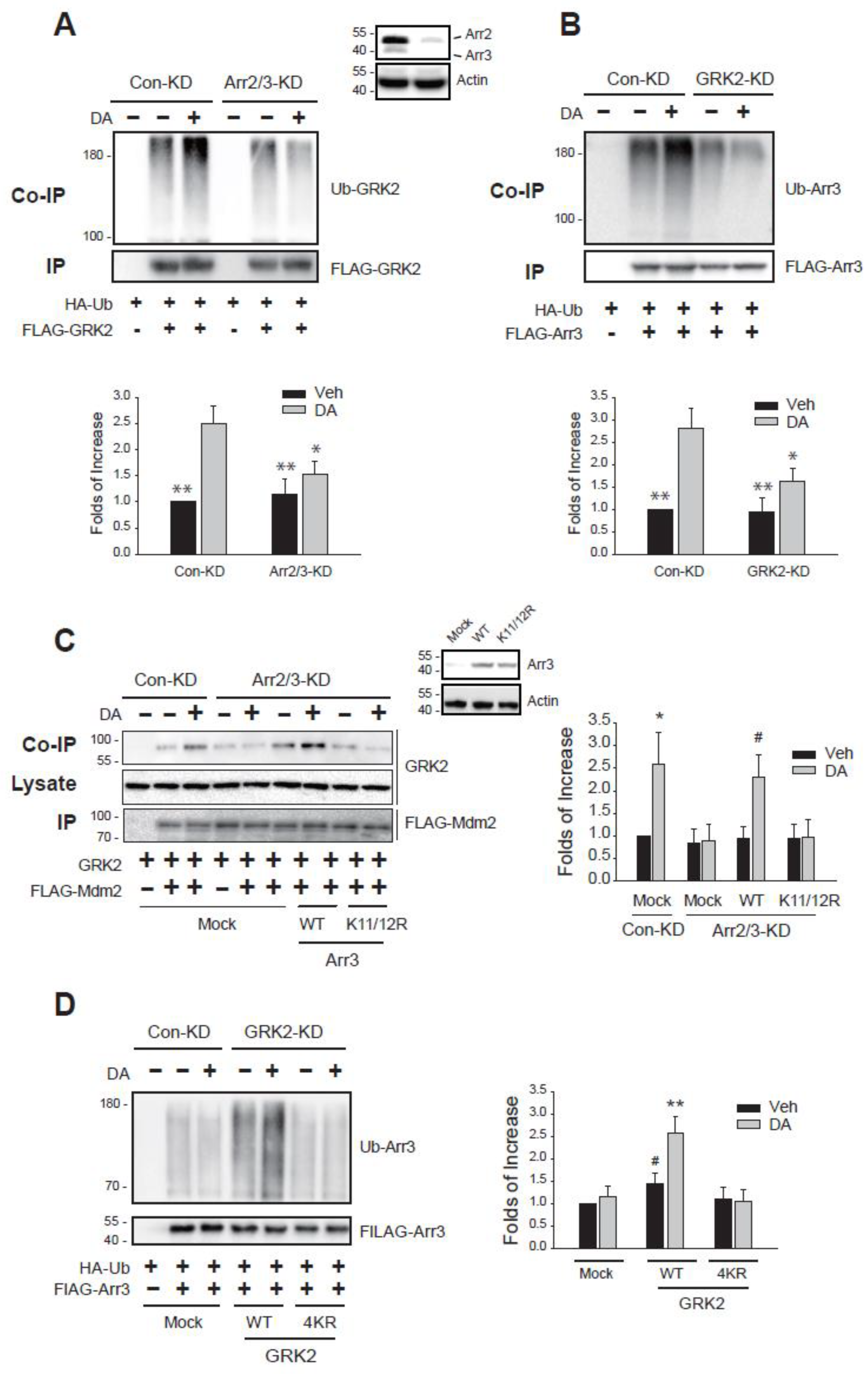 Ijms 26 03238 g003 Ijms 26 03238 g003
