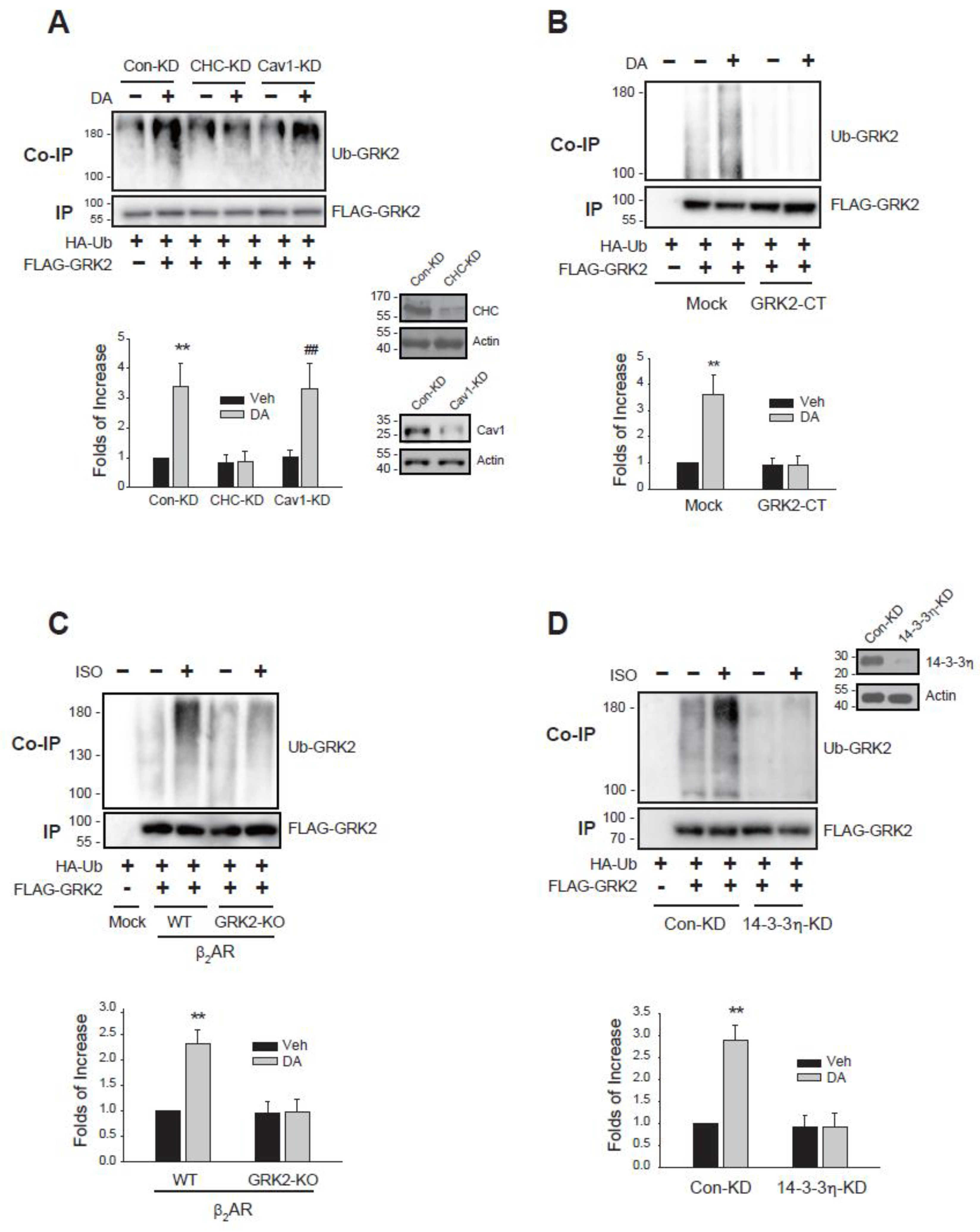Ijms 26 03238 g004 Ijms 26 03238 g004