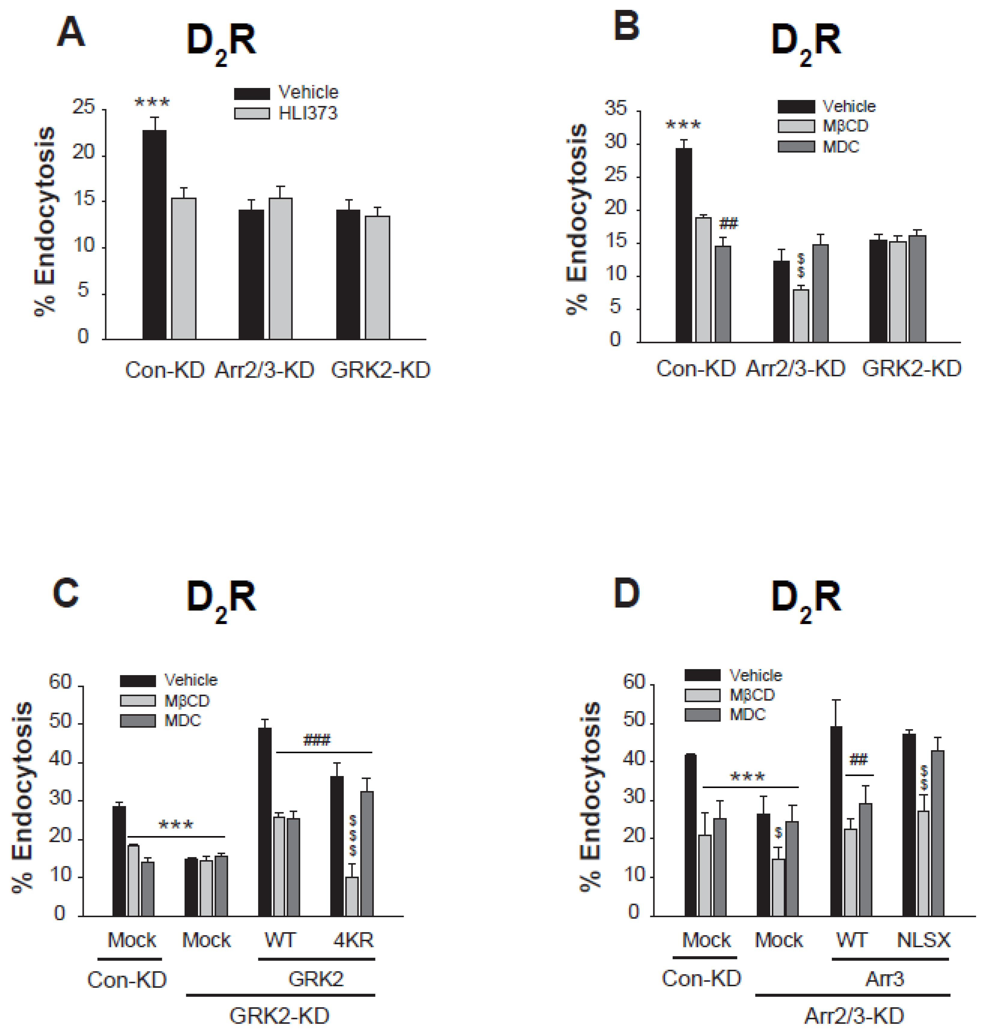 Ijms 26 03238 g007 Ijms 26 03238 g007