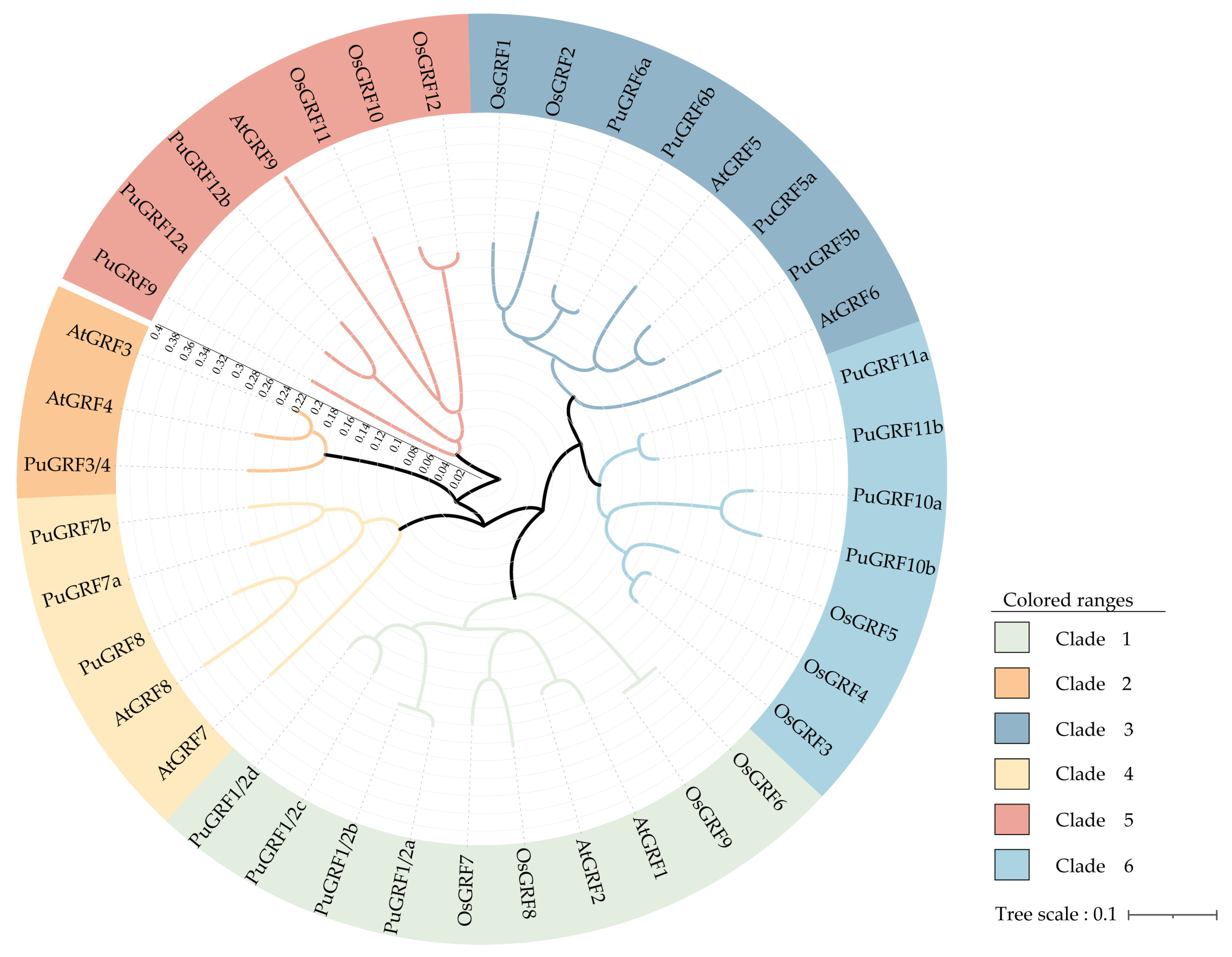 Genome-Wide Identification and Characterization of the