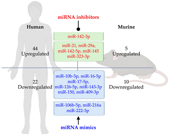 microRNAs in Type 1 Diabetes: Roles, Pathological Mechanisms microRNAs in Type 1 Diabetes: Roles, Pathological Mechanisms