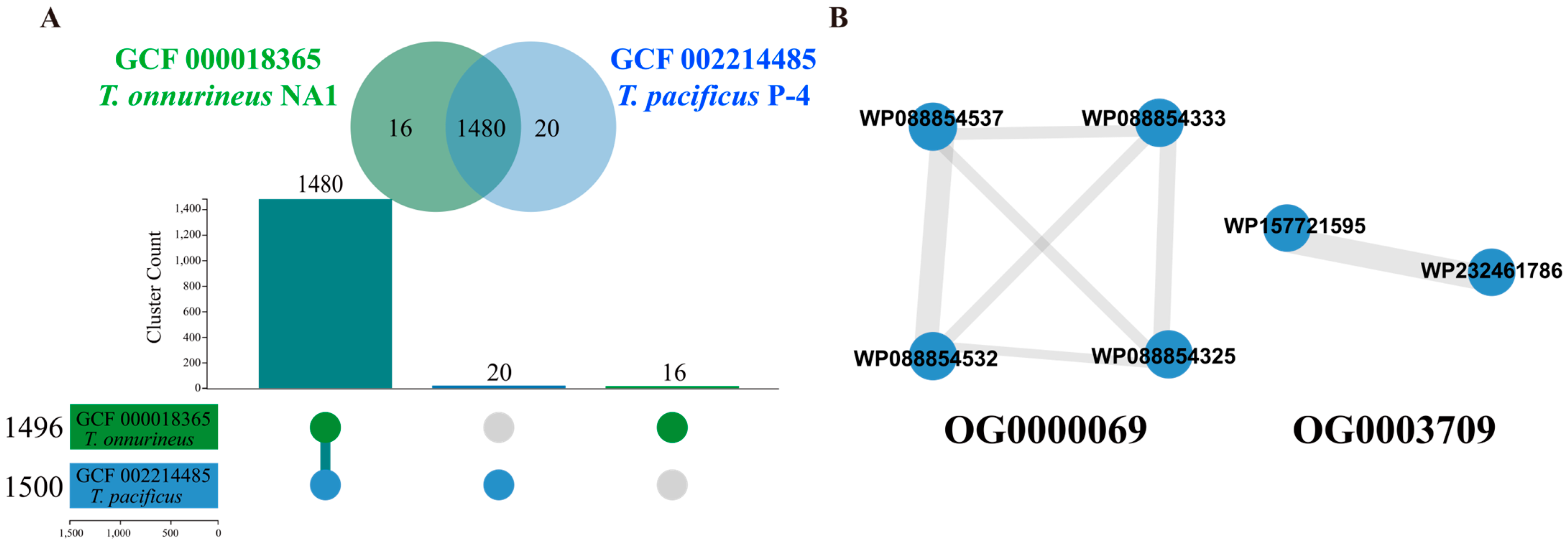 Ijms 26 03305 g001 Ijms 26 03305 g001