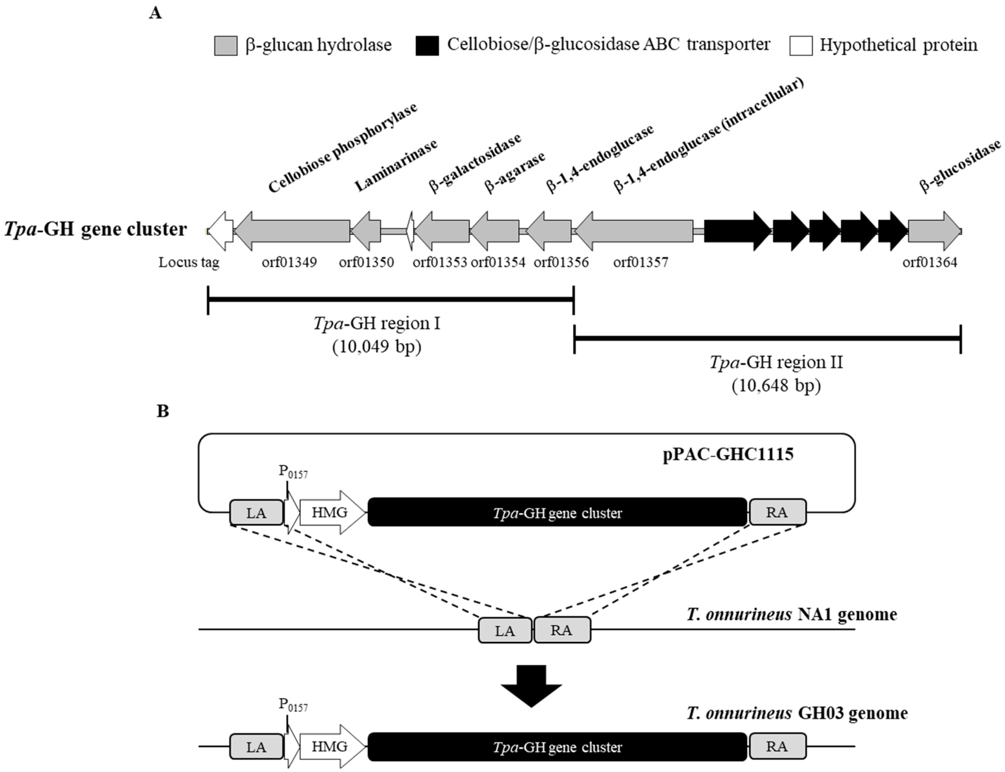 Ijms 26 03305 g002 Ijms 26 03305 g002