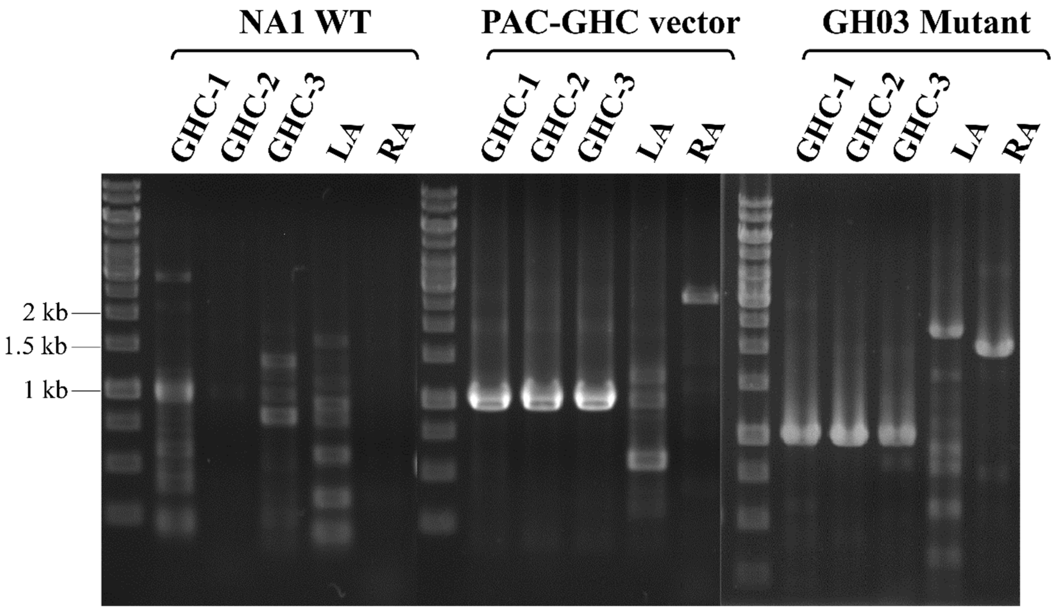Ijms 26 03305 g003 Ijms 26 03305 g003
