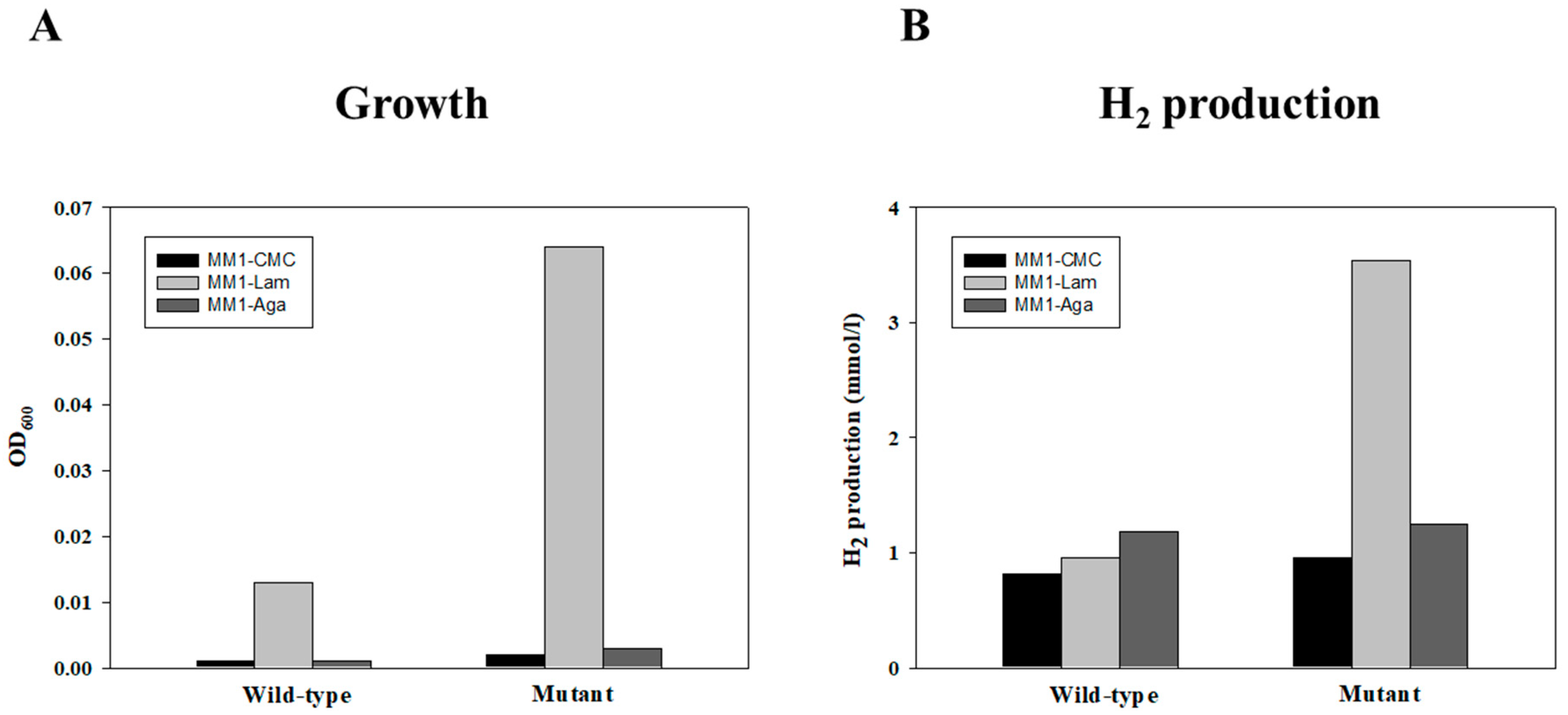Ijms 26 03305 g004 Ijms 26 03305 g004