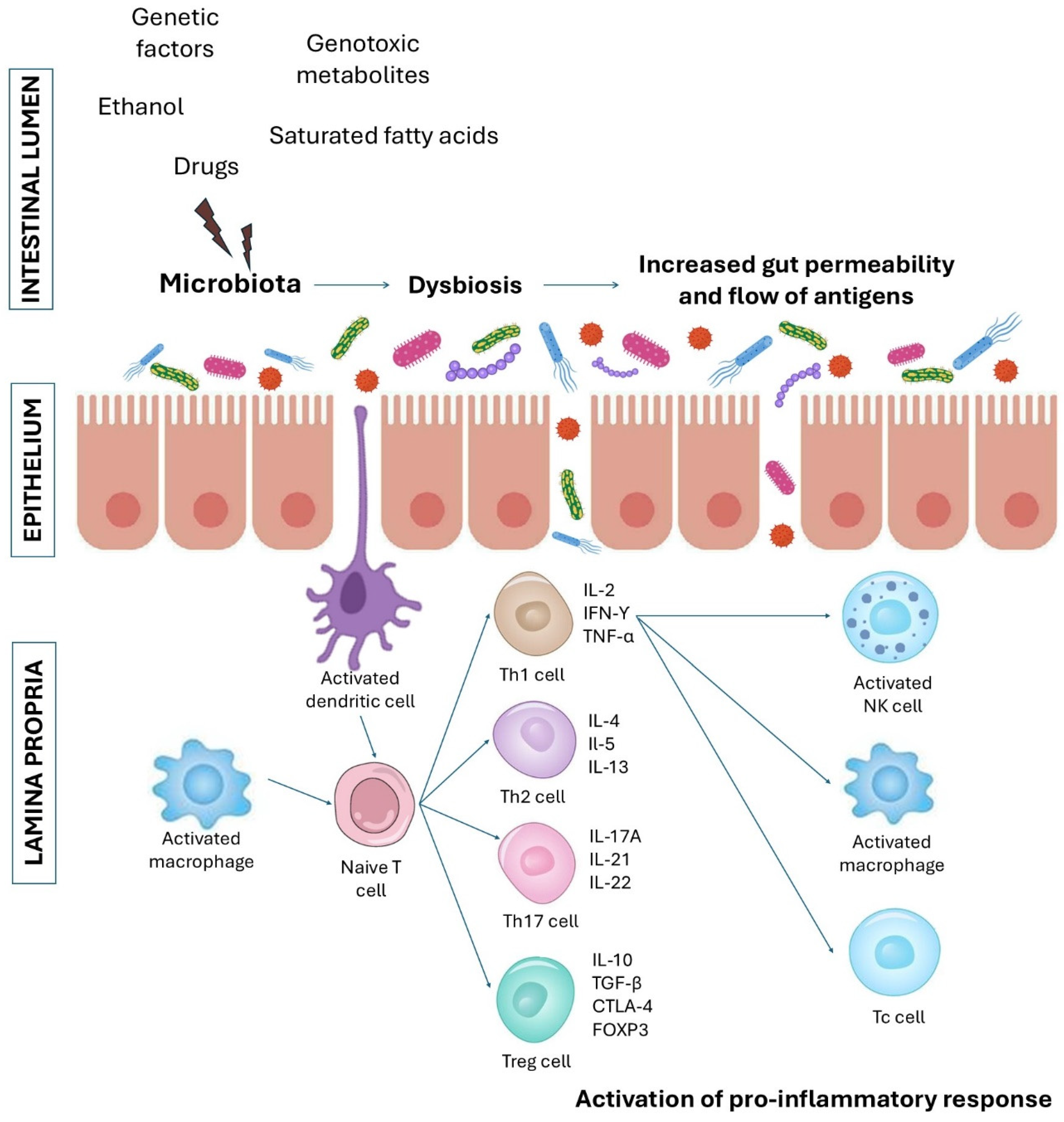 Ijms 26 03320 g001 Ijms 26 03320 g001