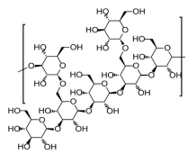 Ijms 26 03320 i002 Ijms 26 03320 i002